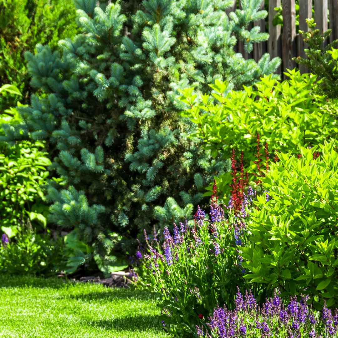 Landscaping — Lawnscape, Inc