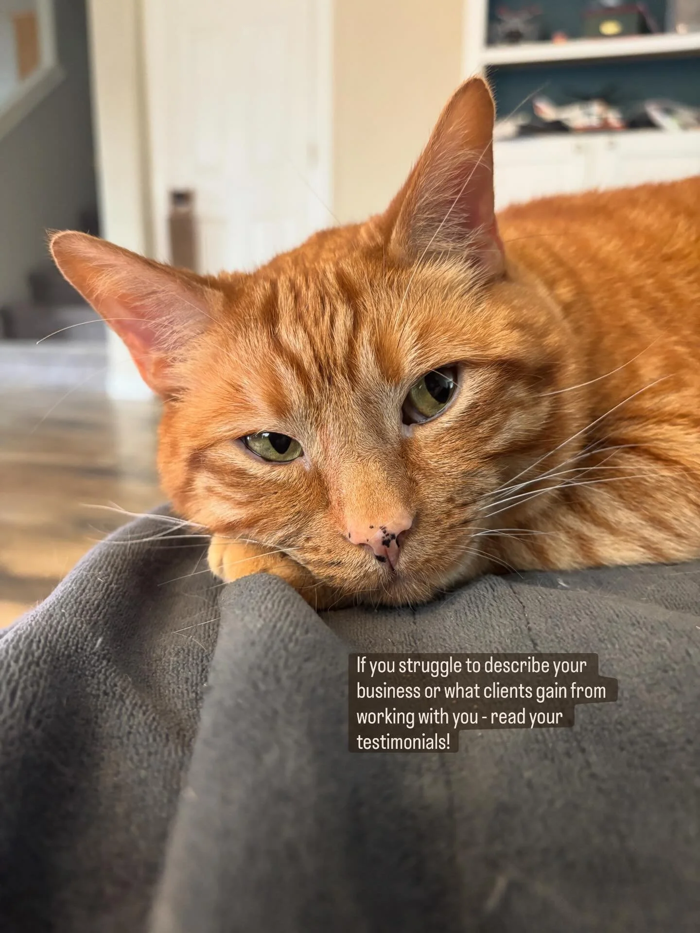 Your clients are sharing what makes you stand out and using the exact words and phrases your future clients are likely using.