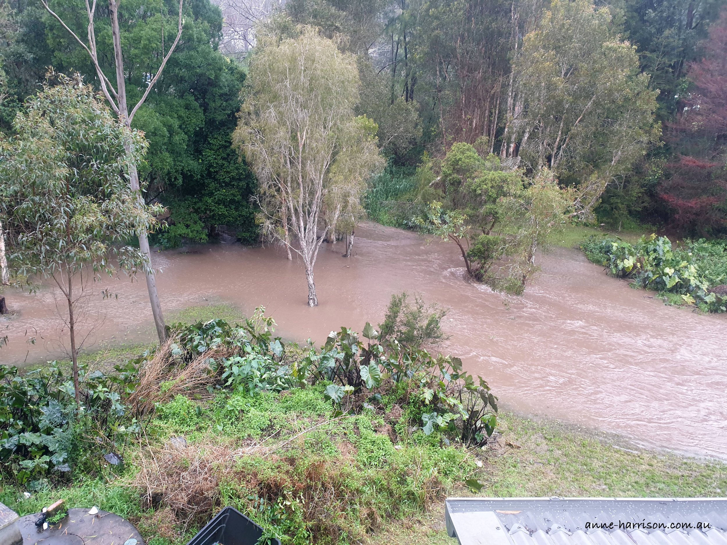 View over a backyard with a creek in flood, and trees surrounded by waterspille