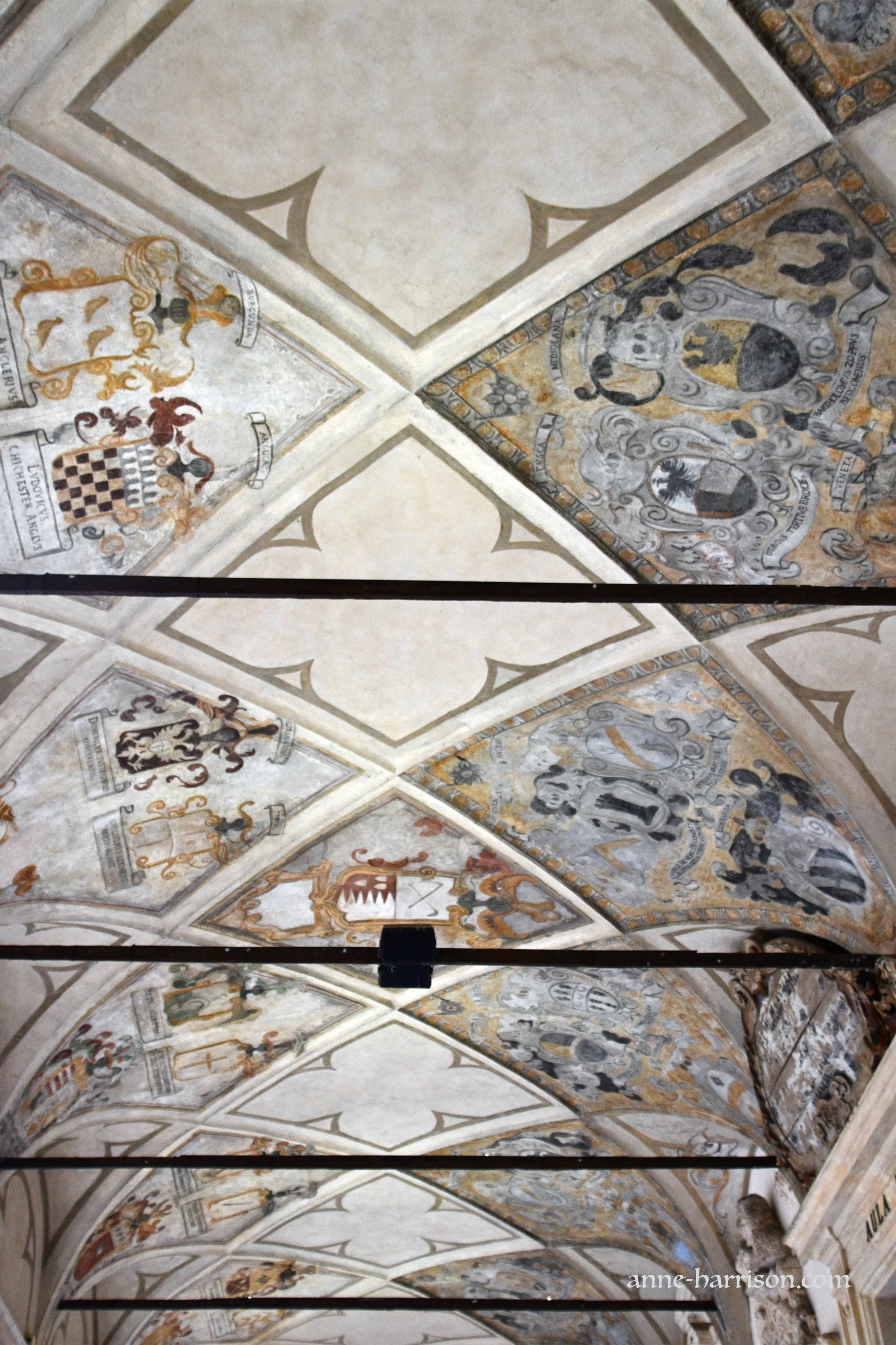 Ceiling frescoes  (c) A. Harrison