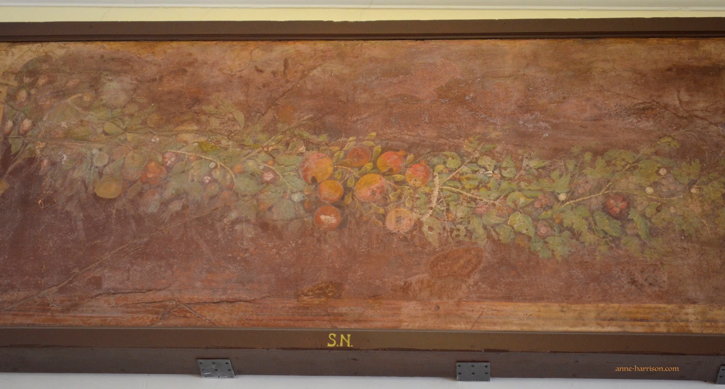 A delicate fresco from Pompeii, depicting a vine covered in fruit