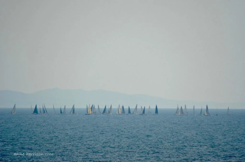 A cluster of small sailboats on a blue ocean. A headland is in the distance. Most of the boats have a single sail, which is either white or dark blue. white