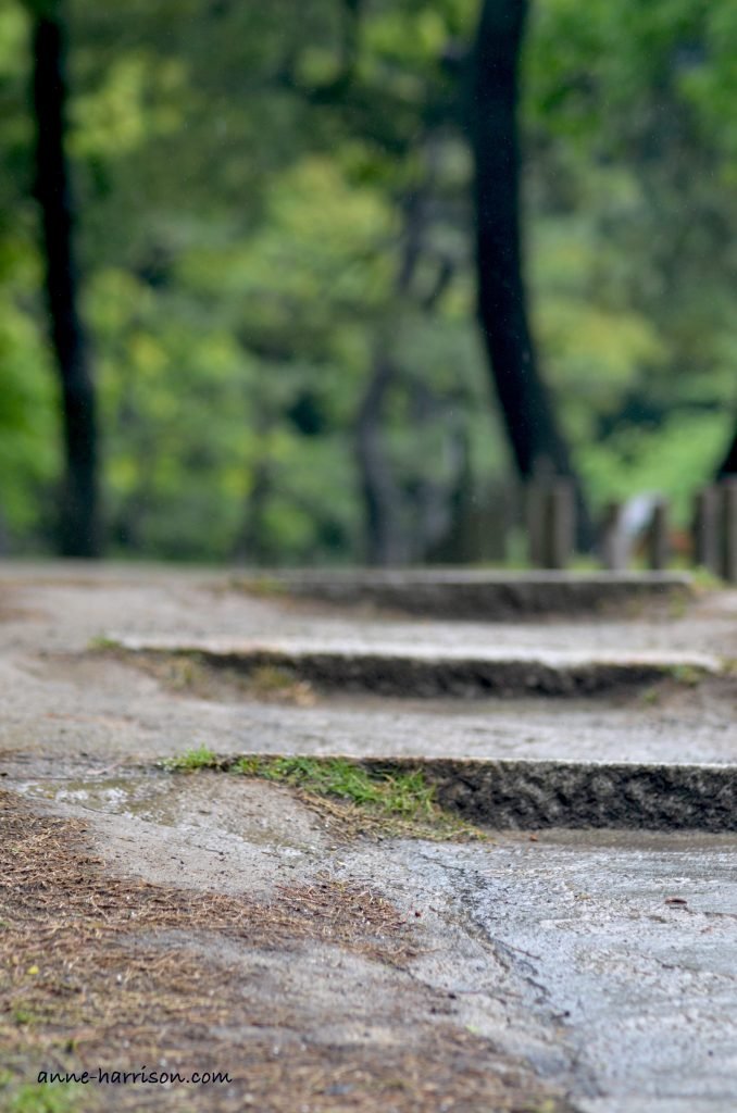 Stone steps as part of a path in a Japanese garden