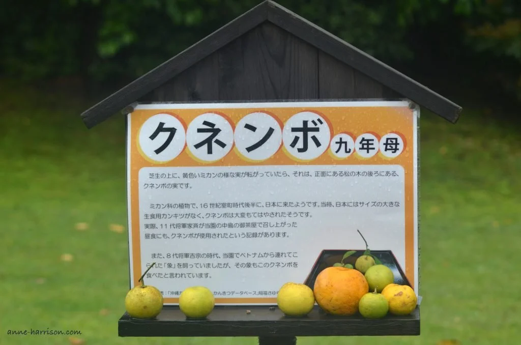 A sign in Japanese, with a wooden shelf which has fruit for wildlife