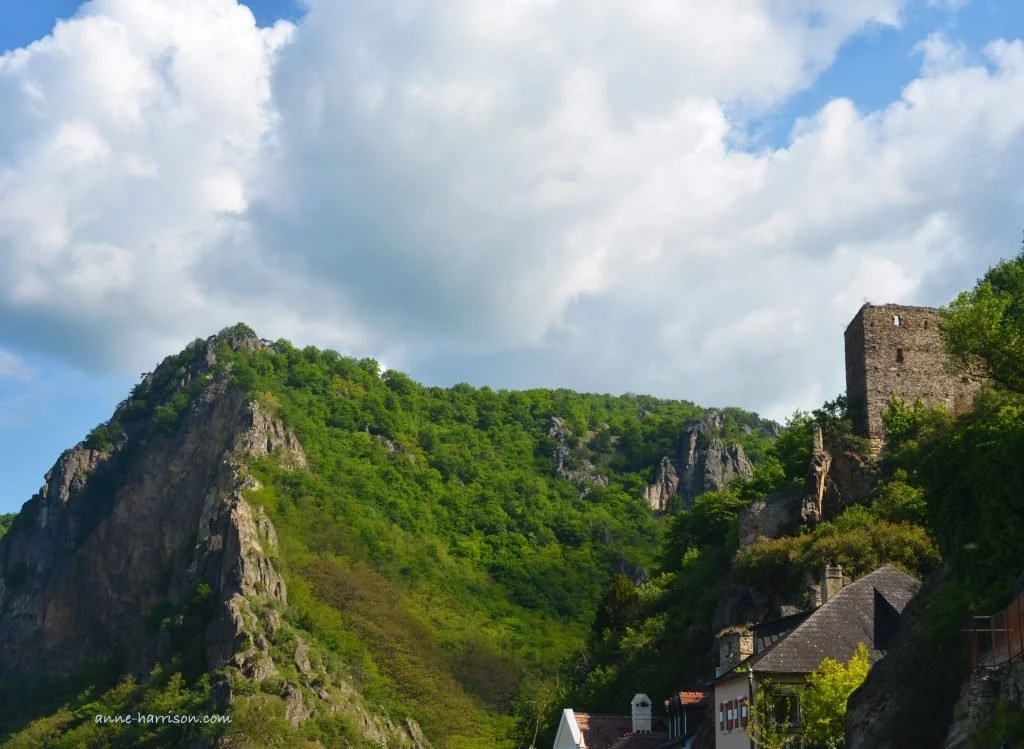 Old castle ruins on a forest-covered hillside along the Rhine