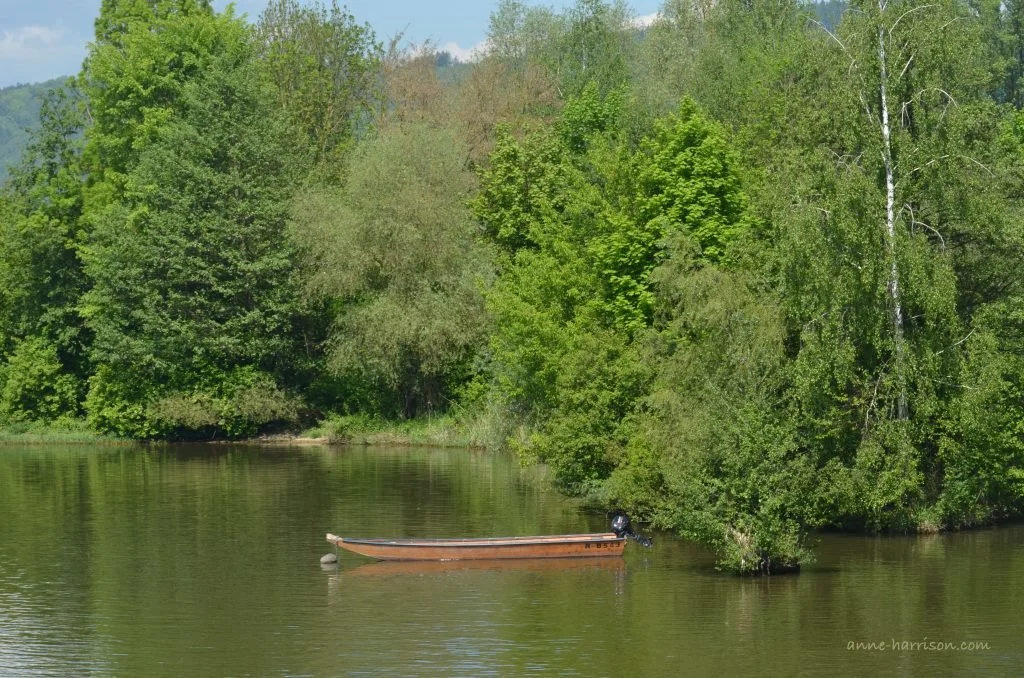 A small boat with an outboard motor moored by some trees