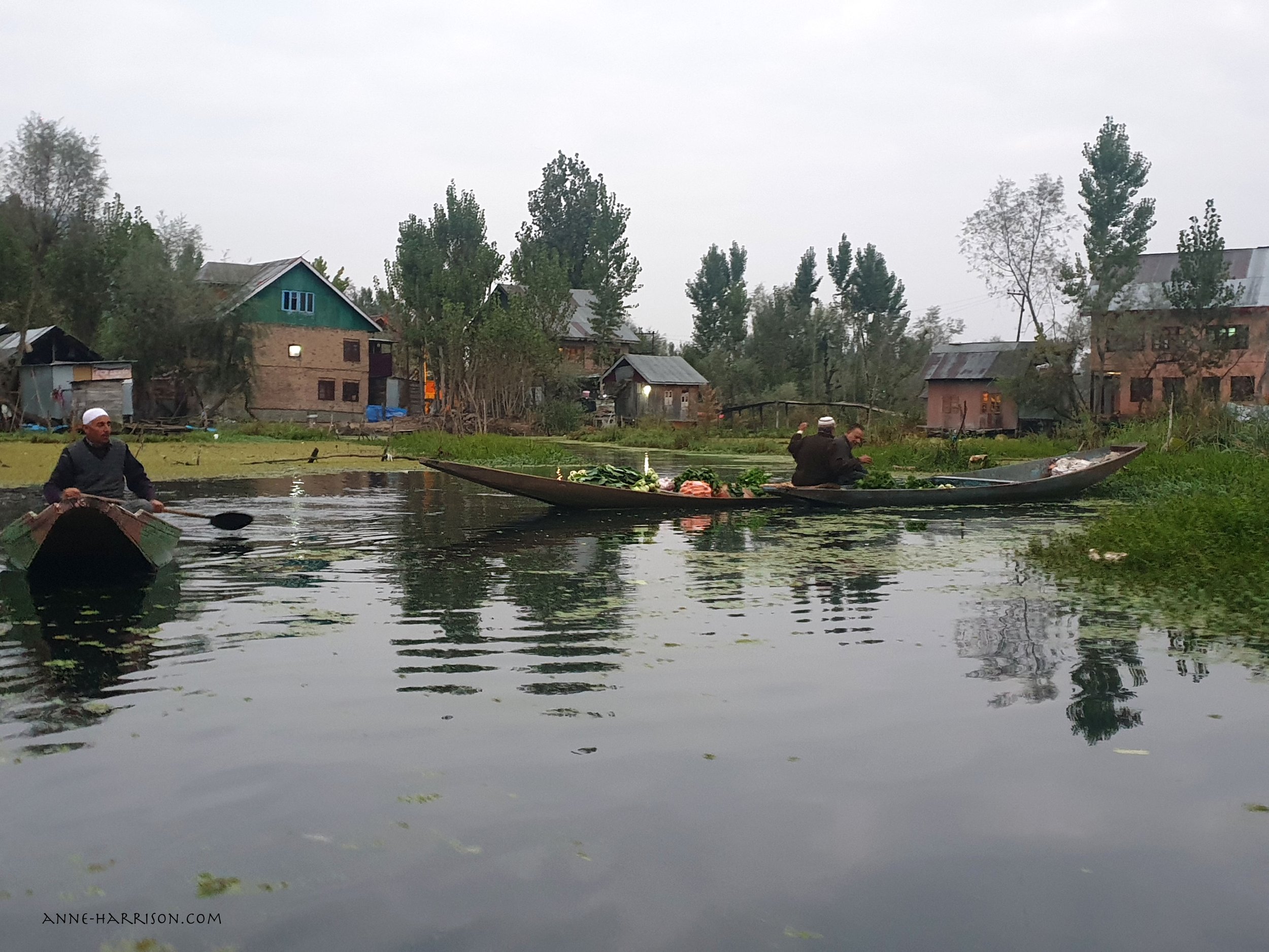 Men paddling wooden long boats in a floating market, with houses near by