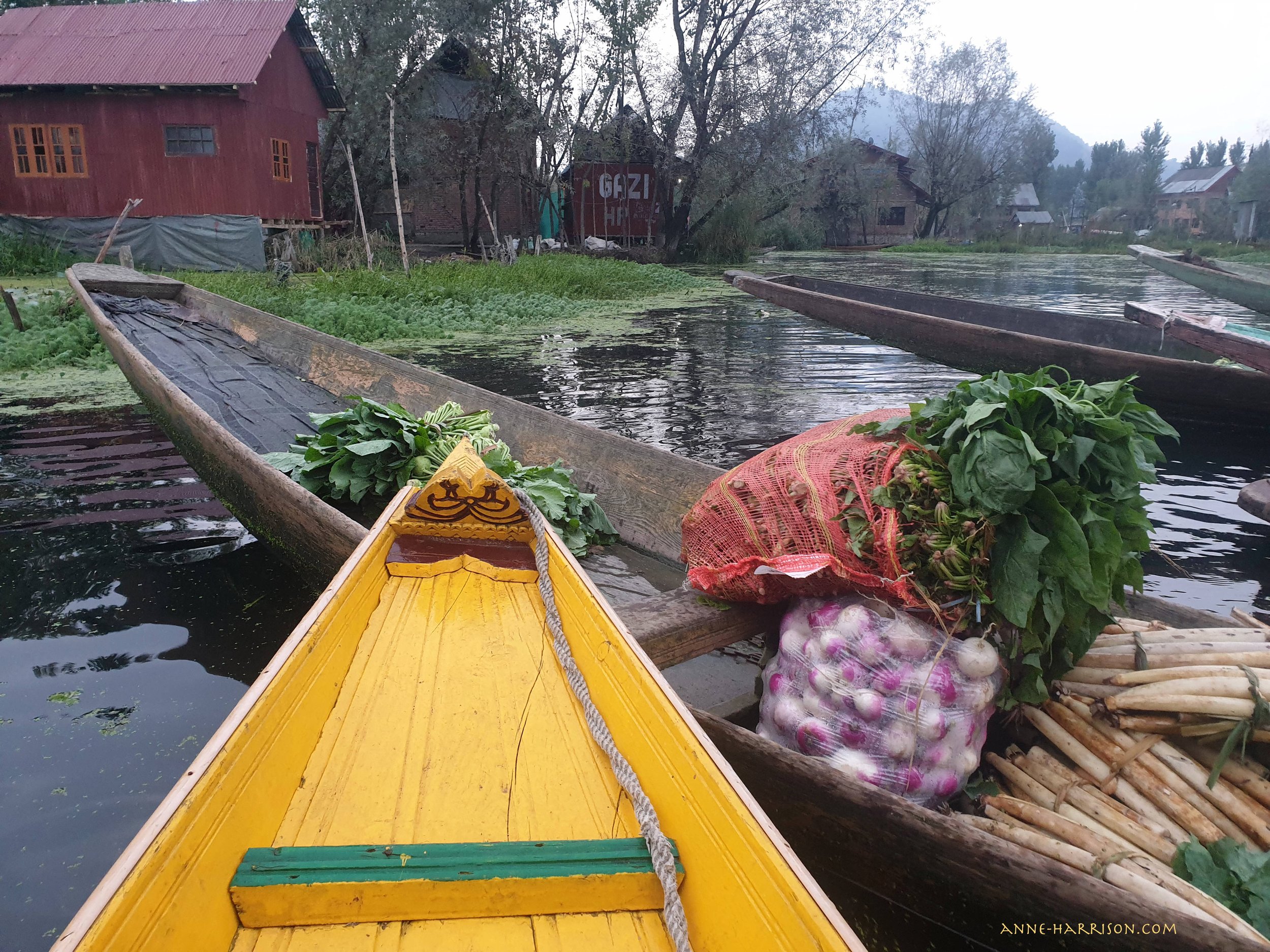 Colourful long boats filled with vegetables, near houses on stilts