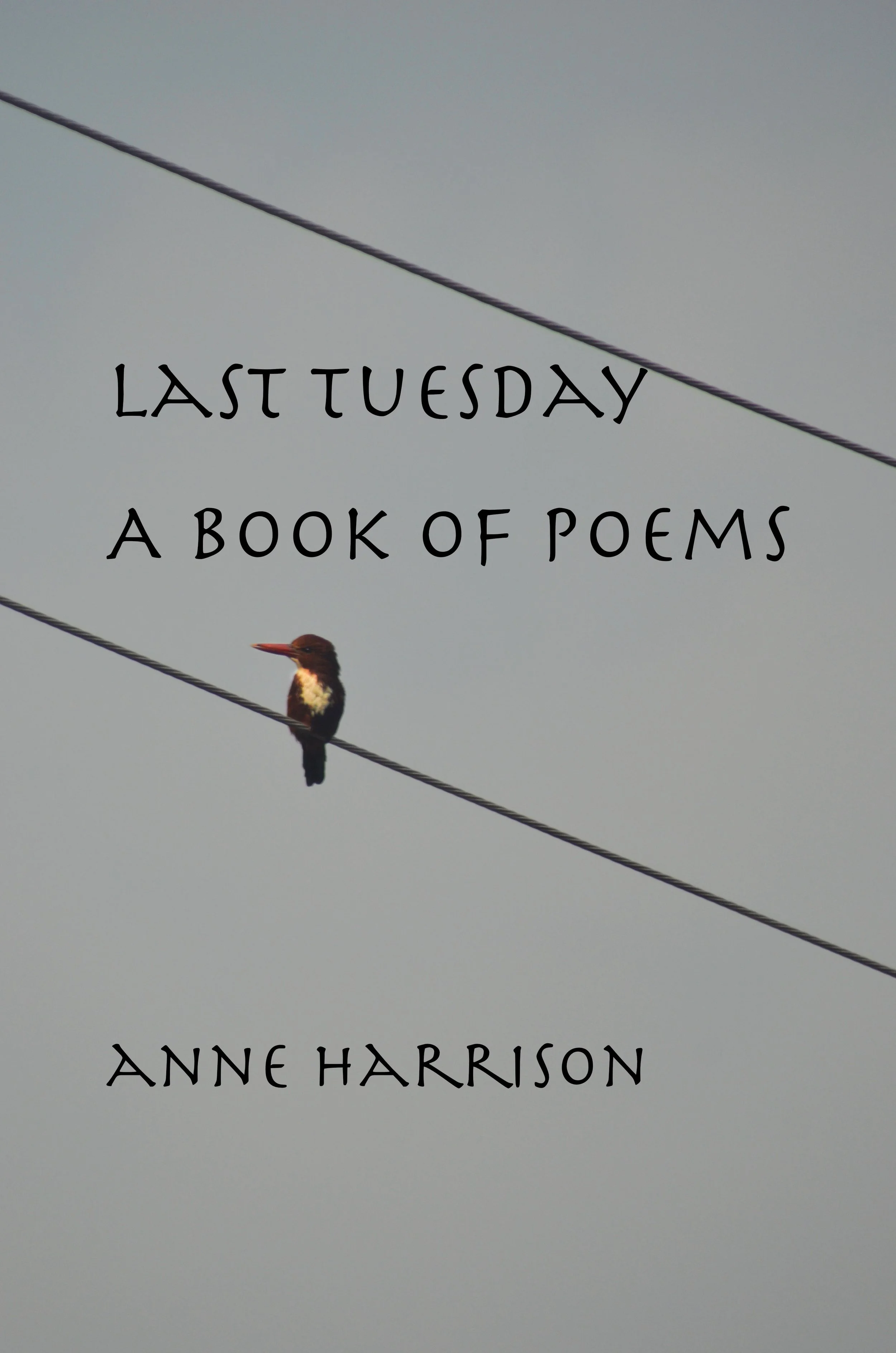 last-tuesday-poetry-cover.jpg