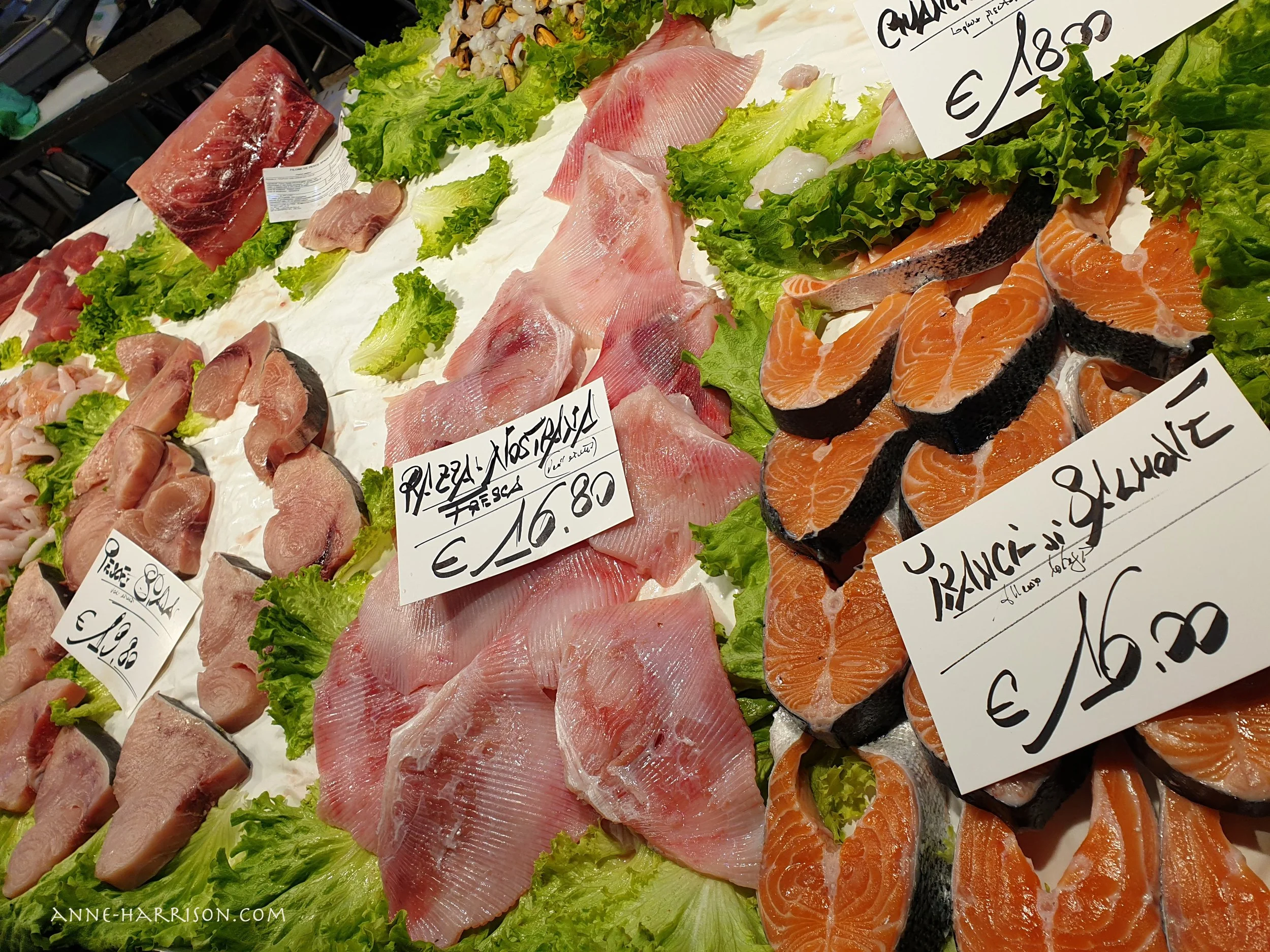 Cuts of fresh fish displayed in a market