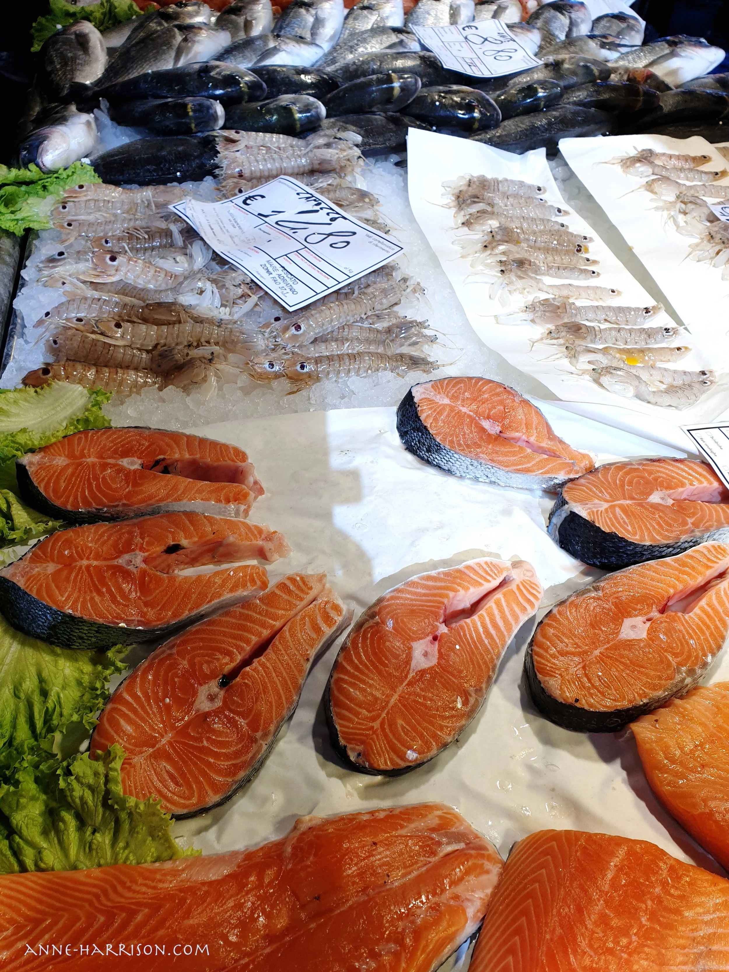 Salmon and scampi for sale © A. Harrison