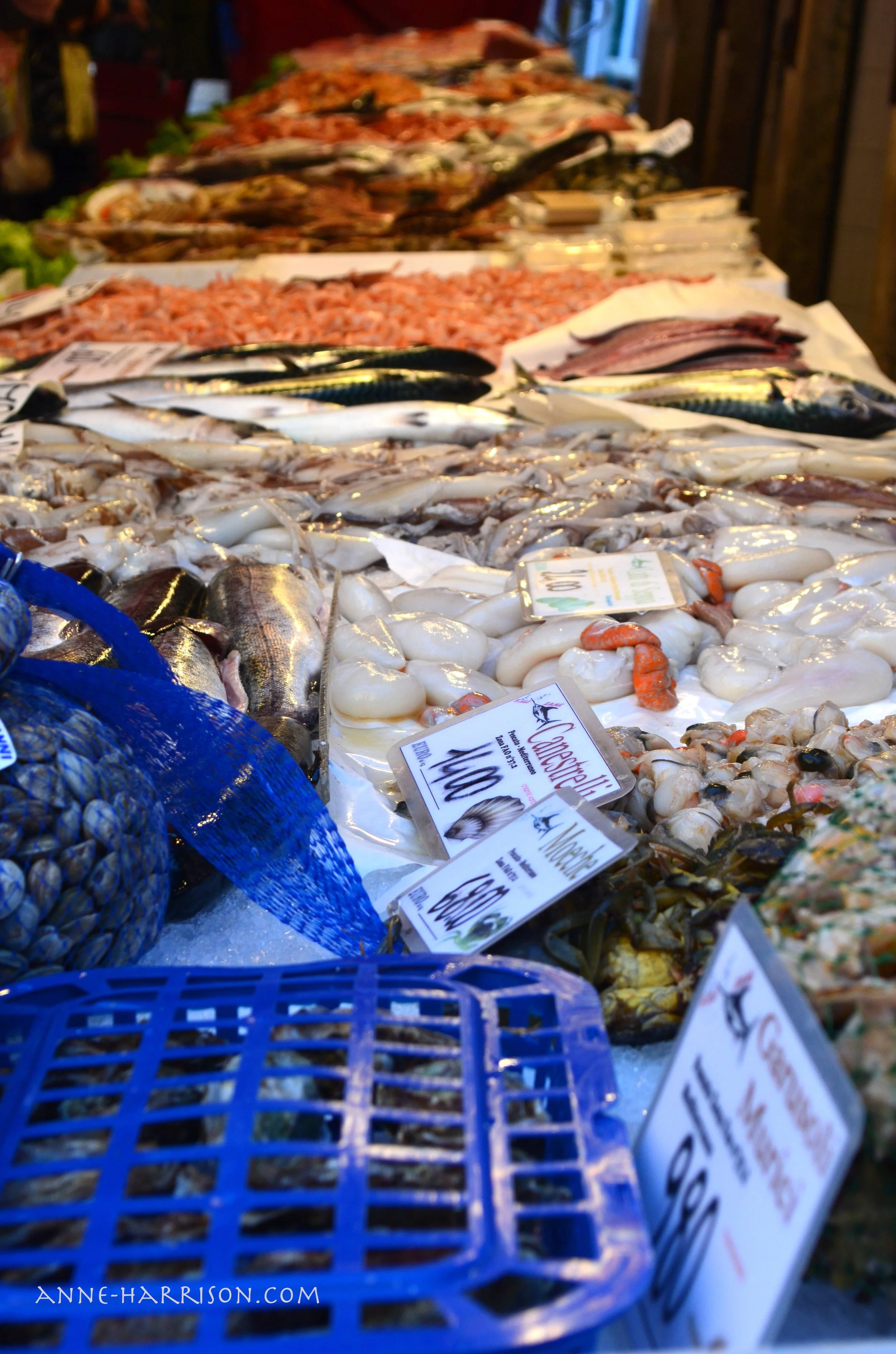 Such a range of seafood, including shell fish © A. Harrison