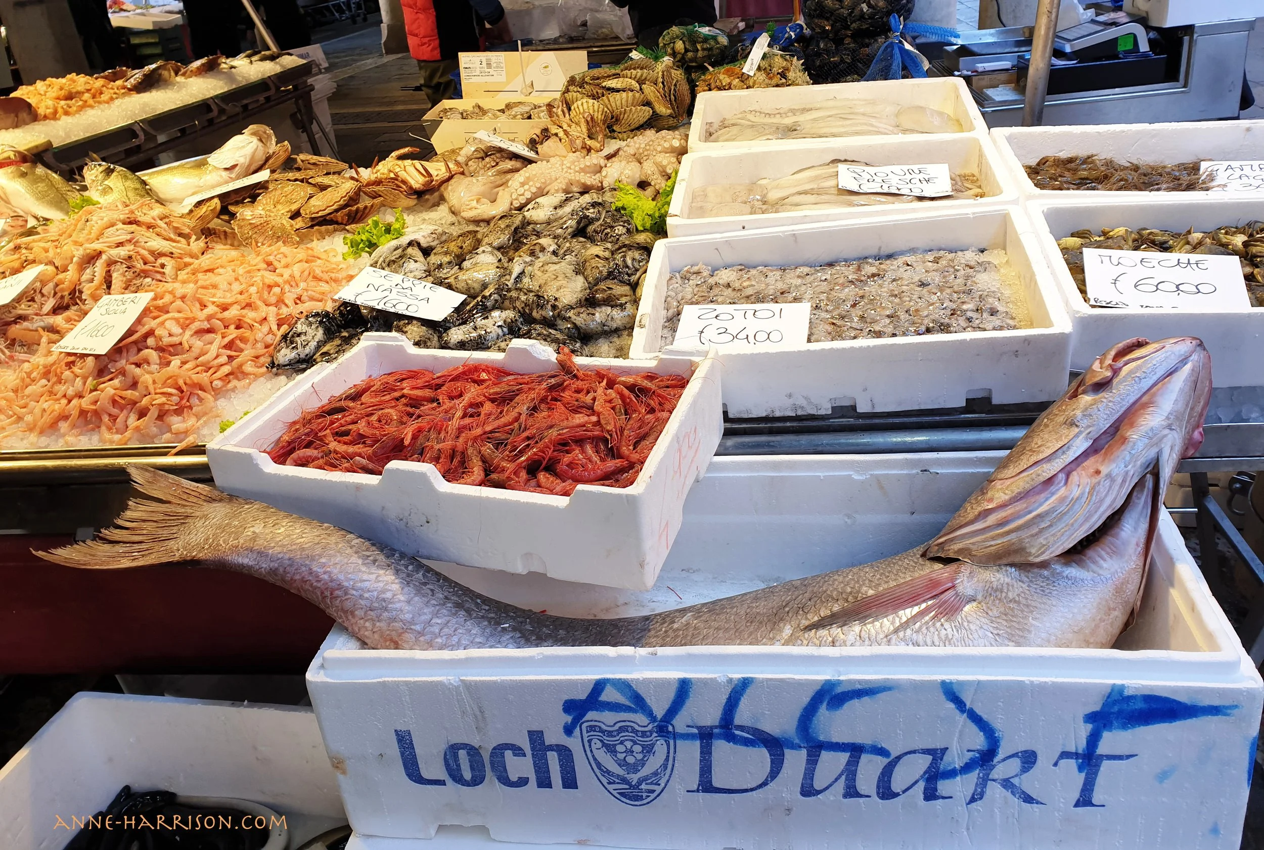 The Markets of Venice