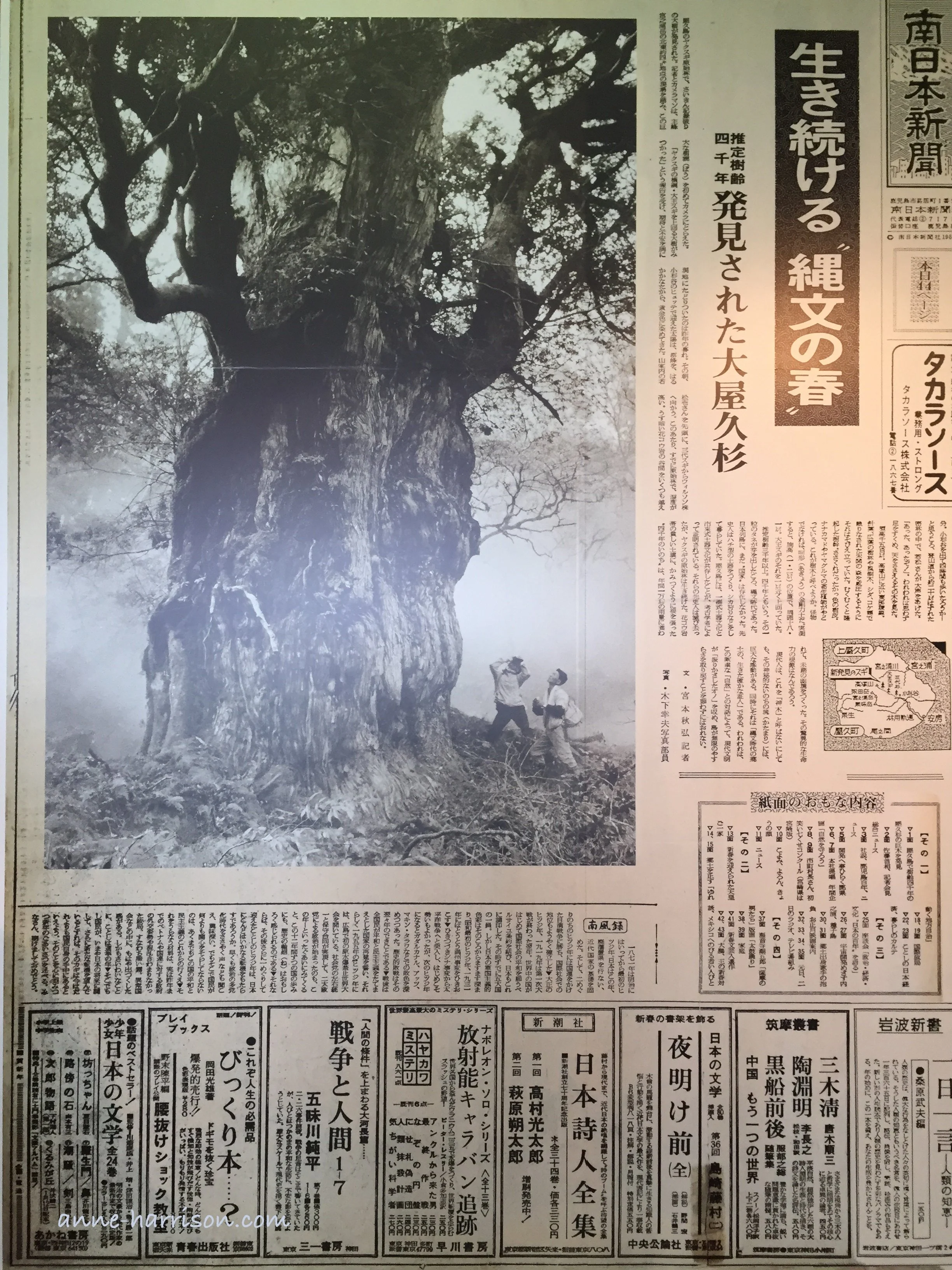 A newspaper clipping of logging © A. Harrison