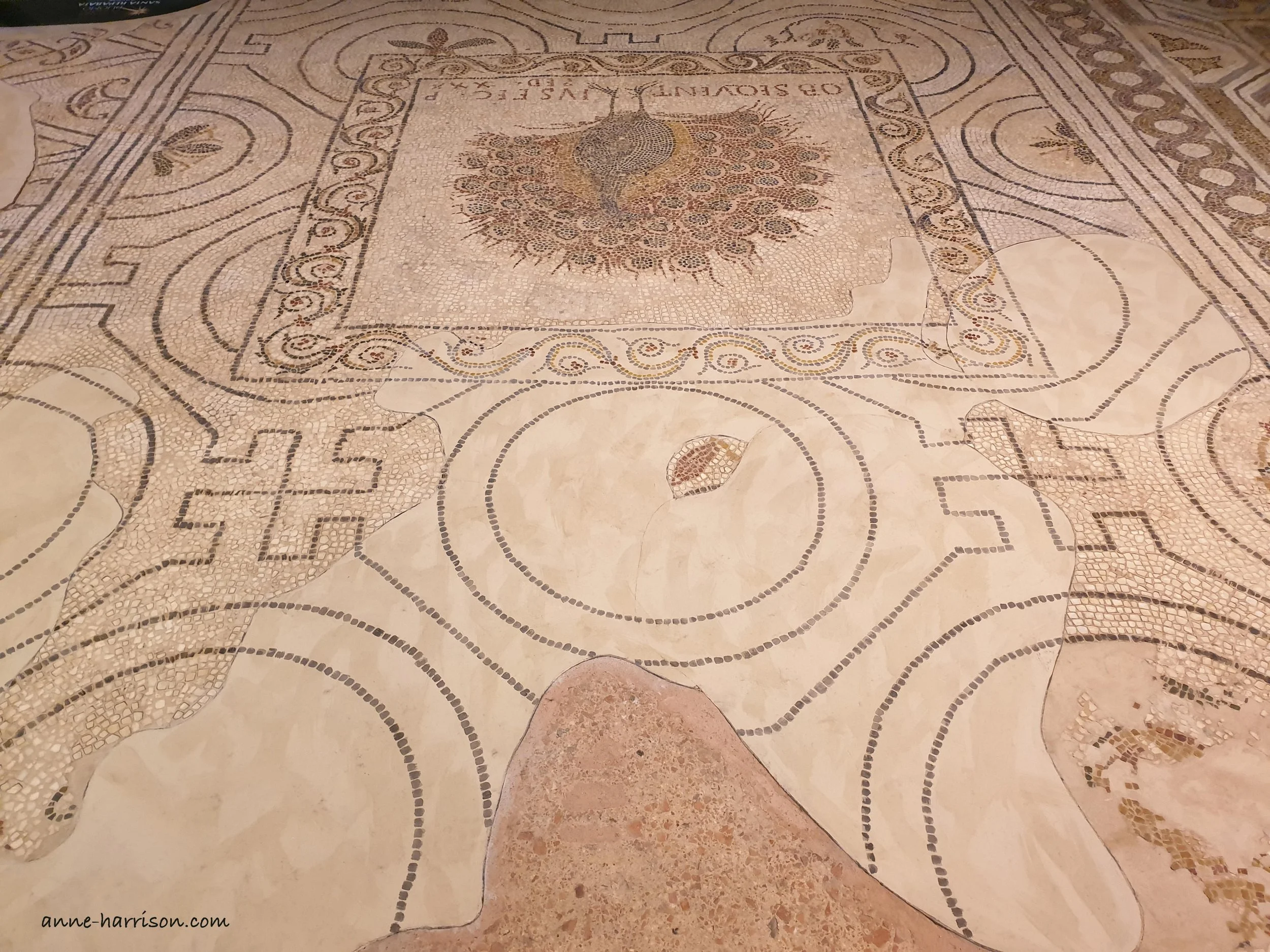 mosaic-floor.jpg