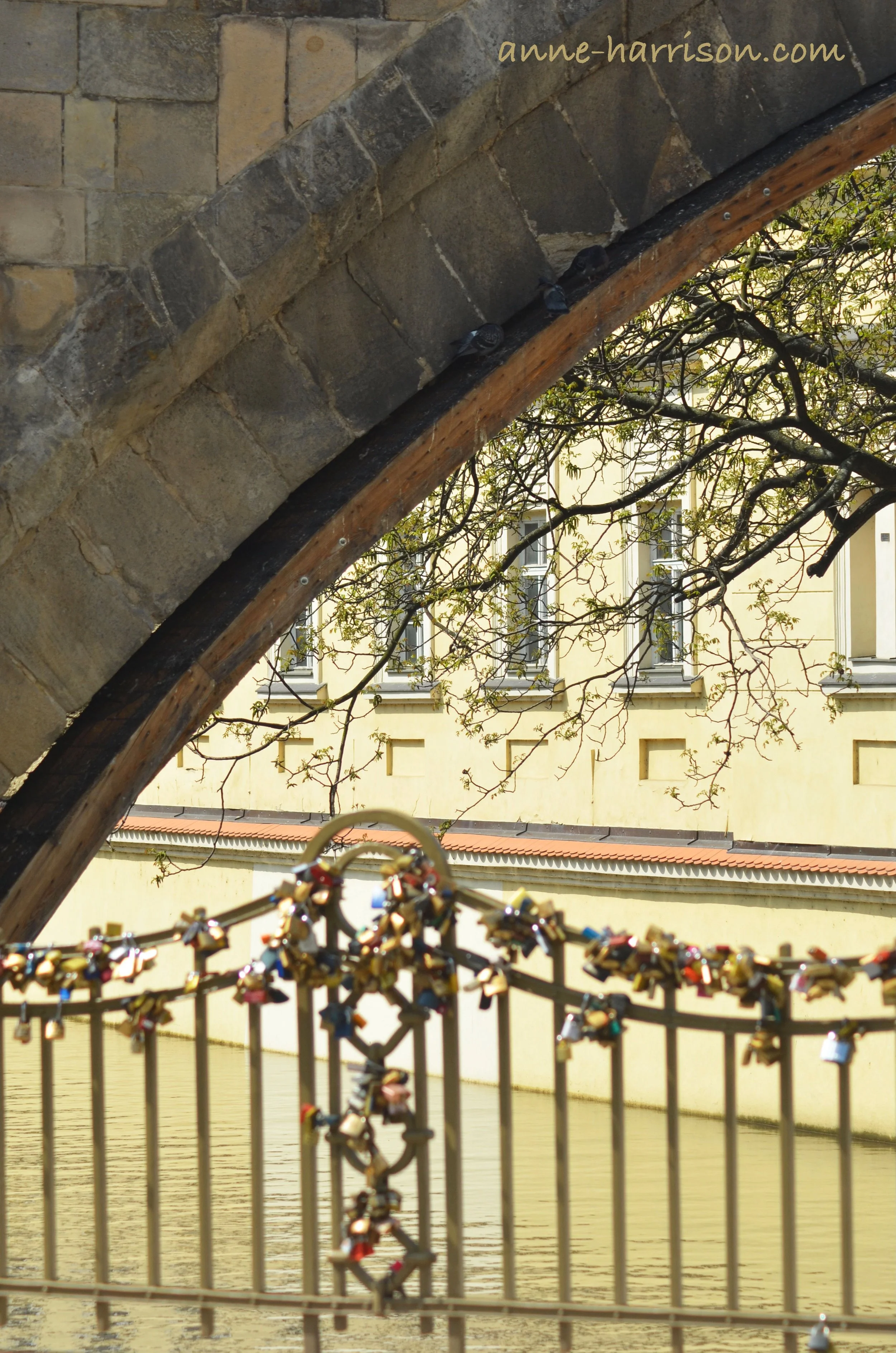 A lovelock bridge (c) A. Harrison