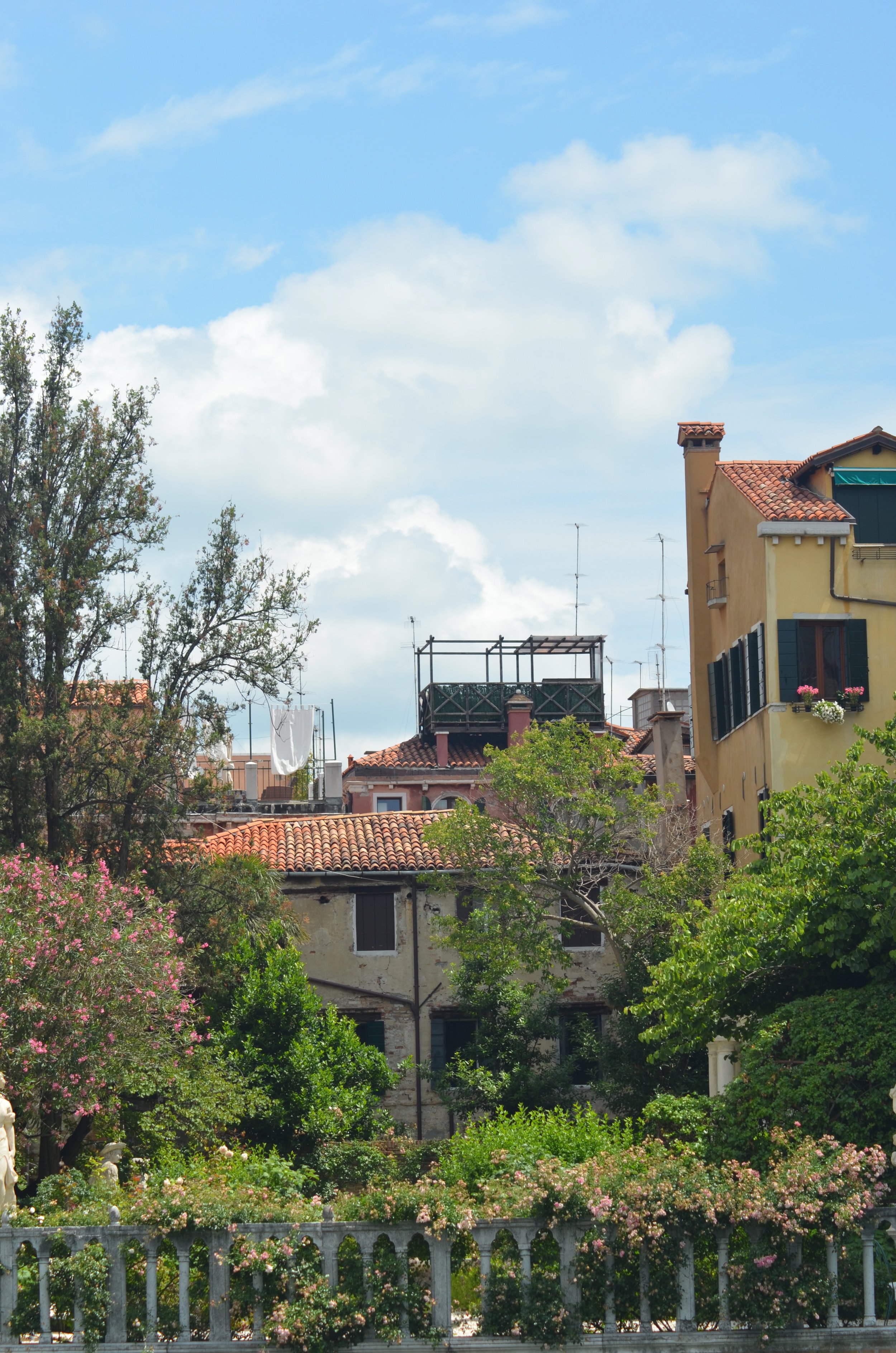 DSC_4550.jpeg
