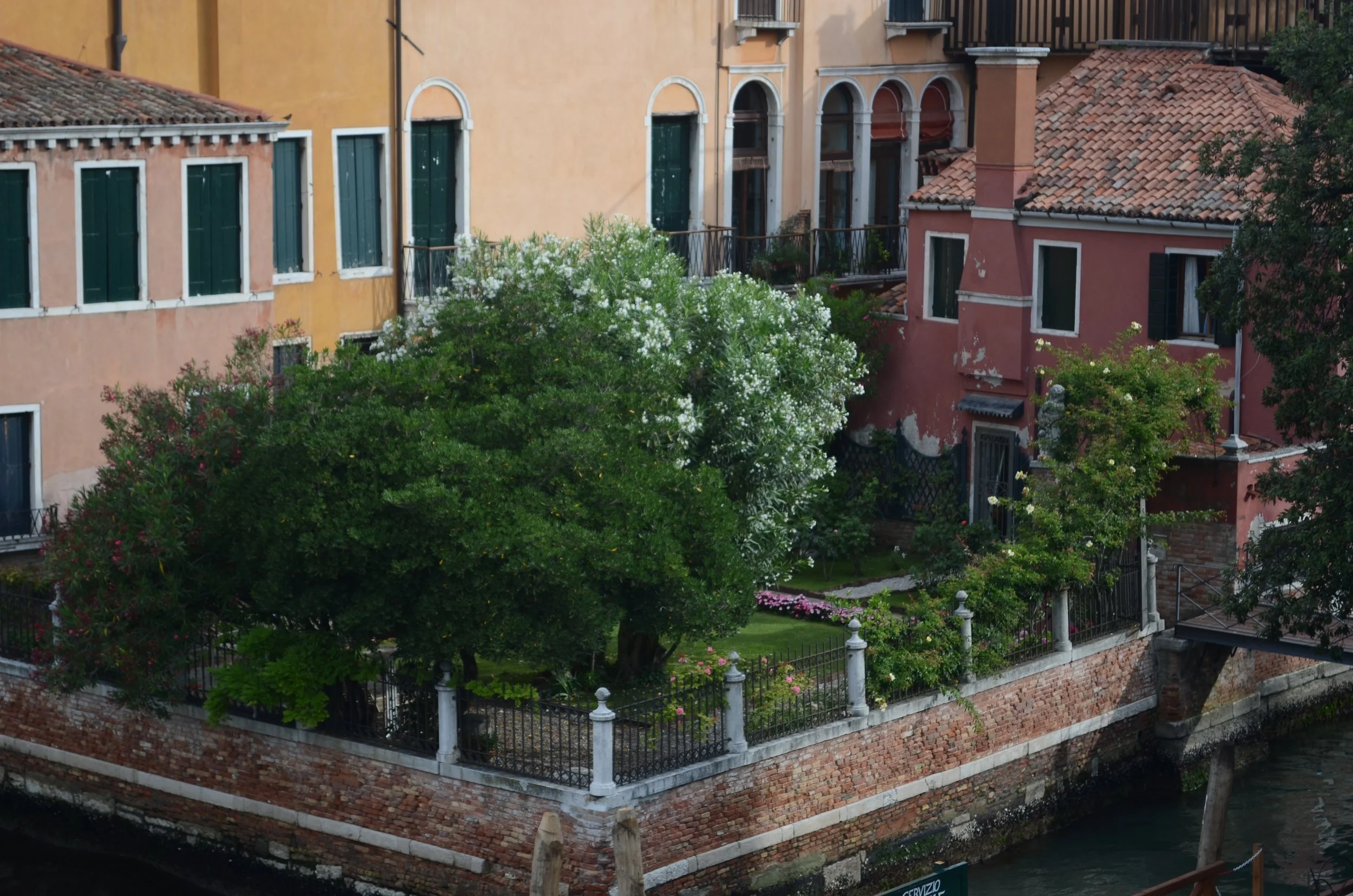 An enclosed courtyard in Venice. One tree is covered in white flowers.
