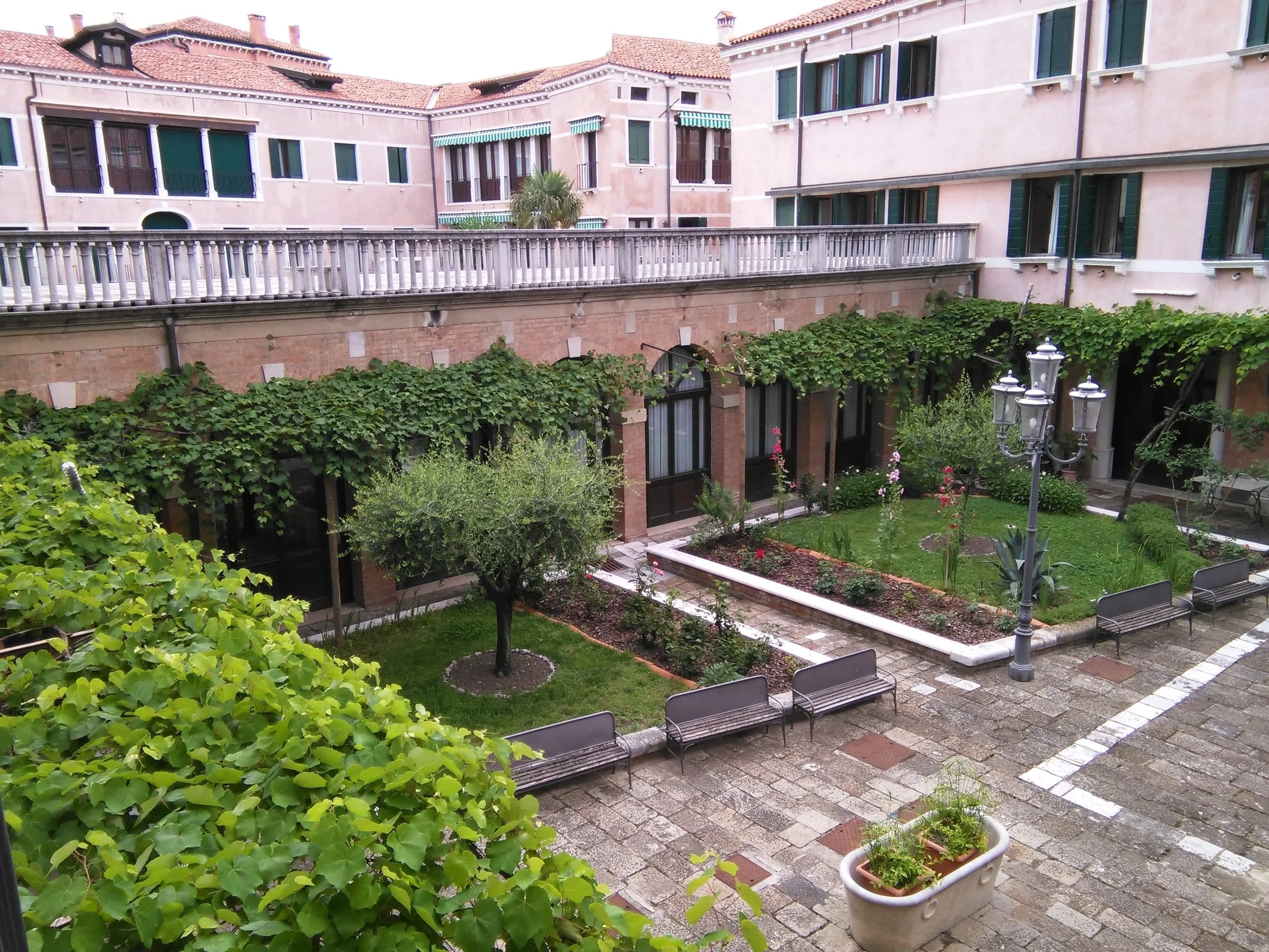A balcony over looks a courtyard with olive trees and flowering plants. A vine is growing around the upper edge of the courtyard.