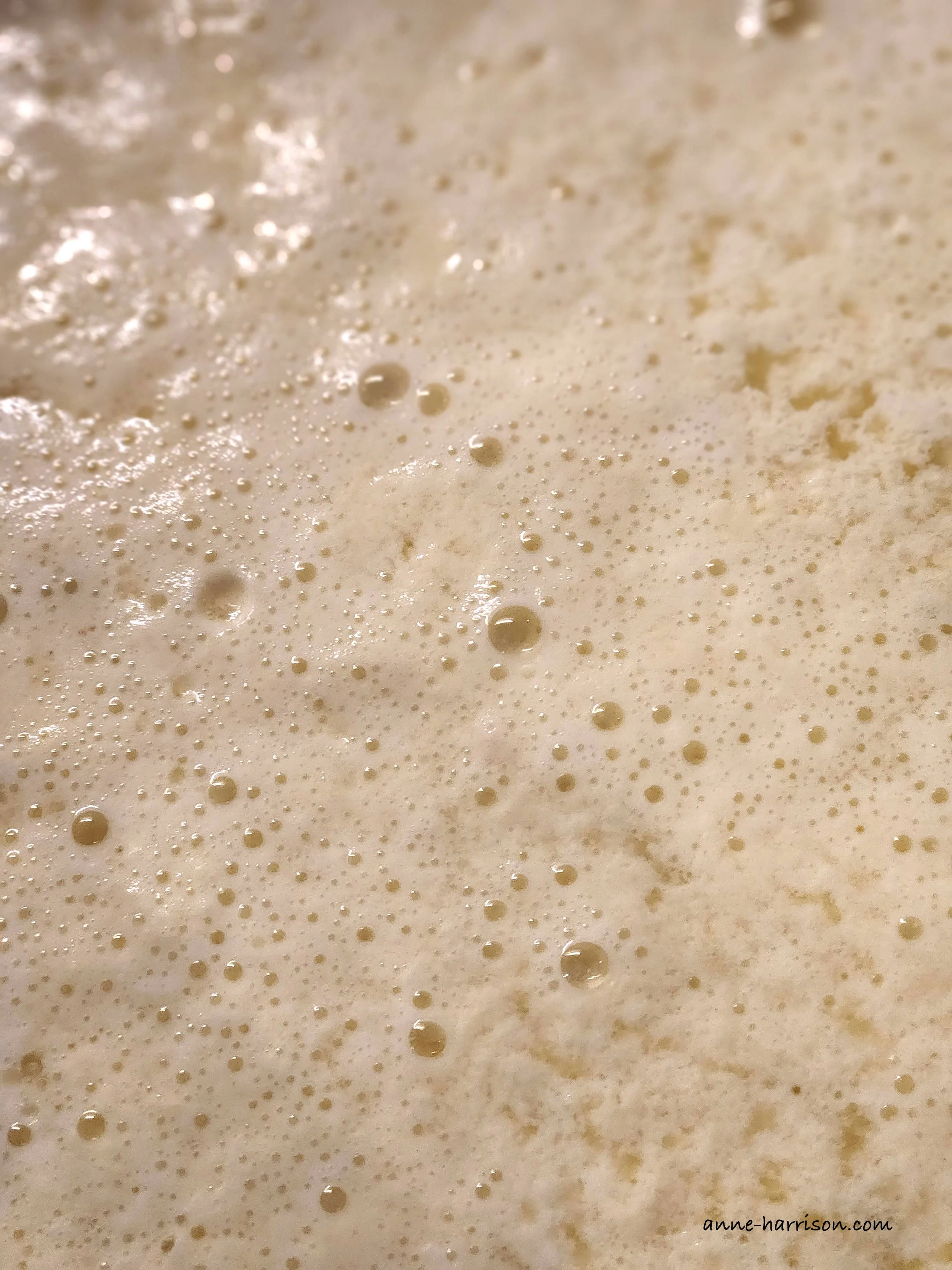 Bubbles in the tofu mix © A. Harrison