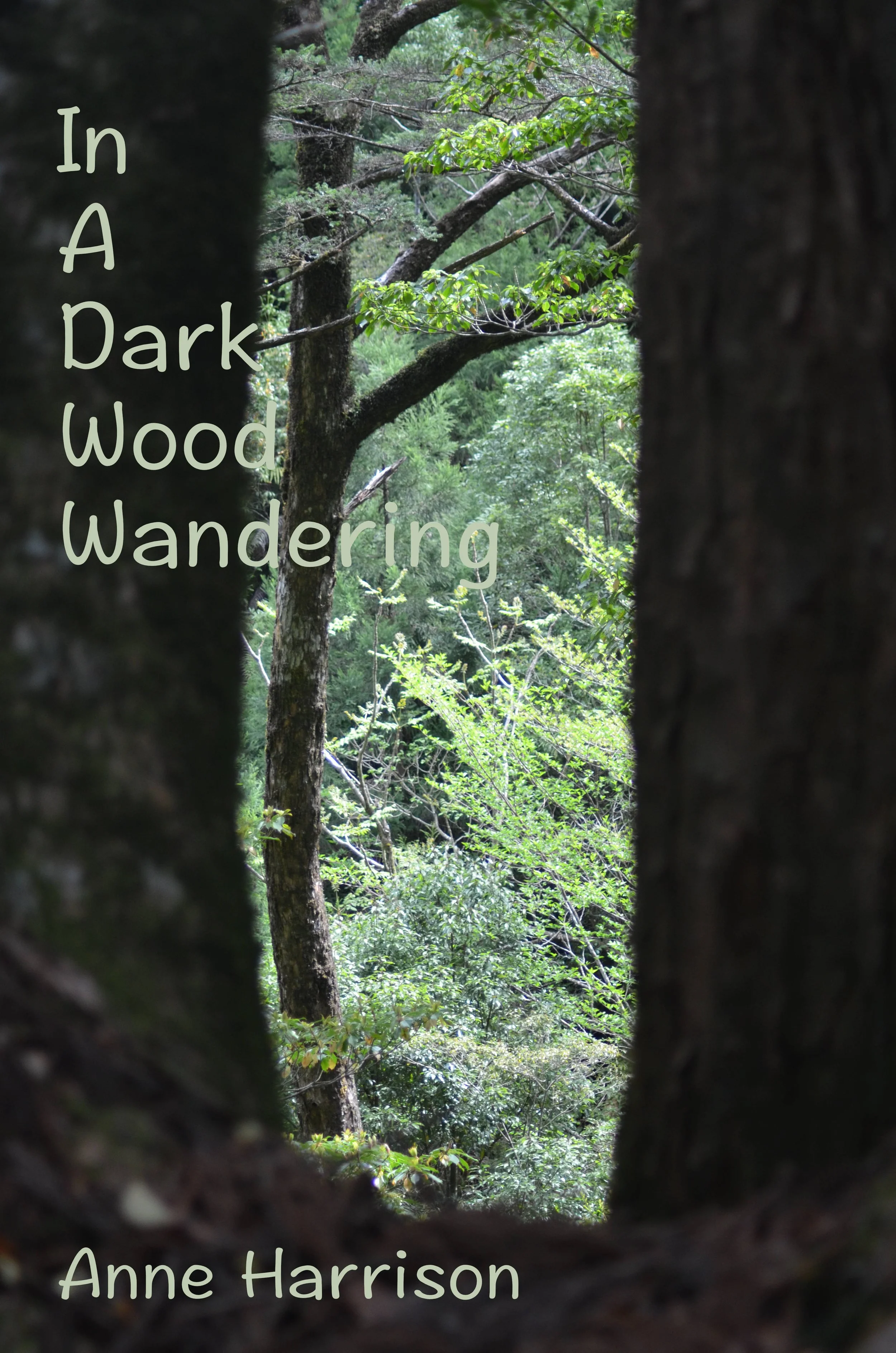 In A Dark Wood Wandering