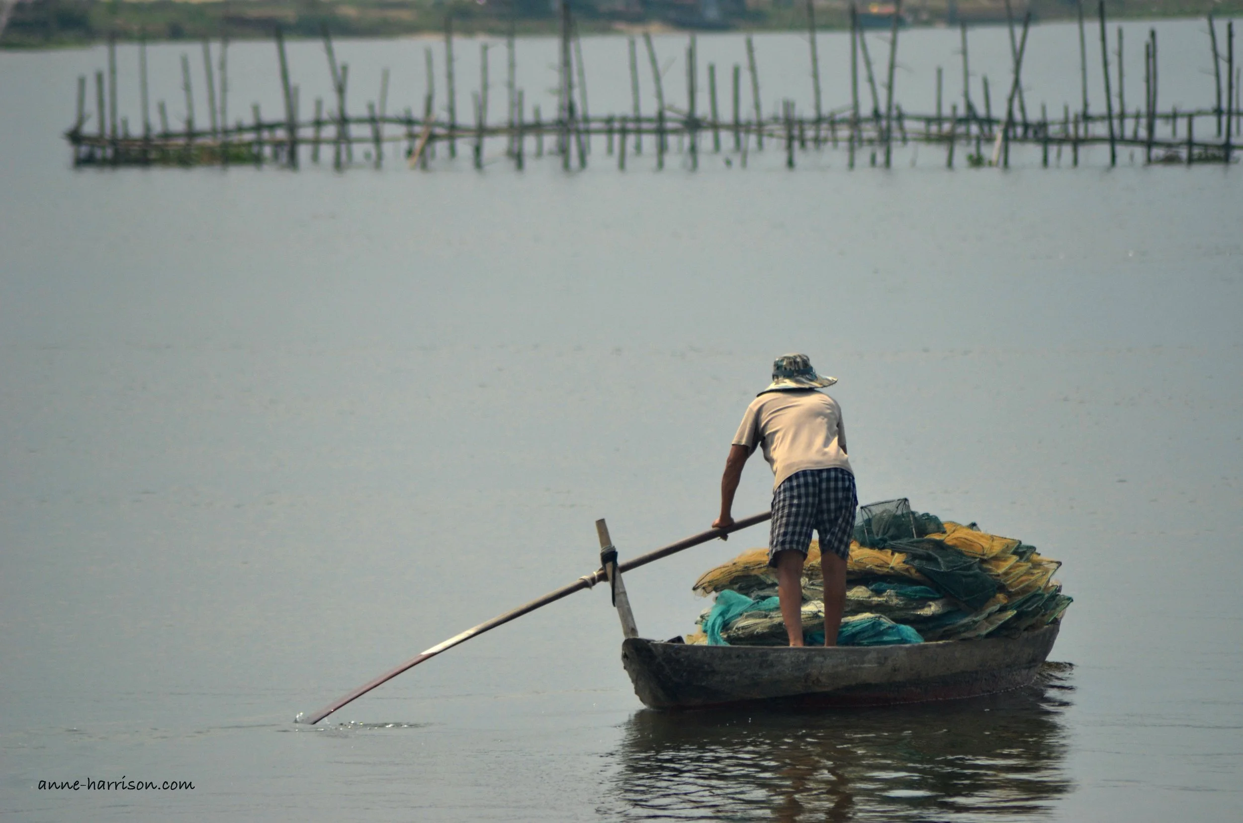 A fisherman standing up to row a round basket boat in Vietnam. Bamboo poles rise out of the water.