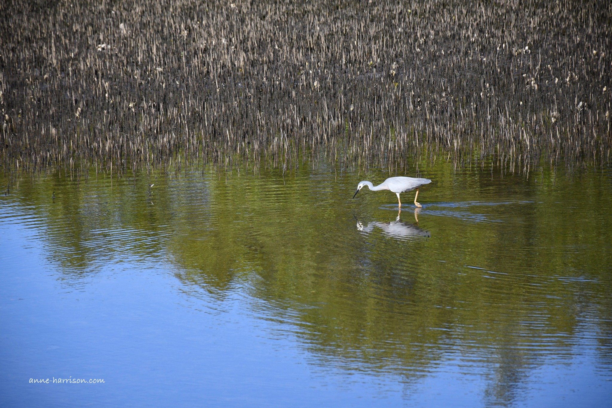 A quiet moment of reflection #meandmycamera #nikonphotography