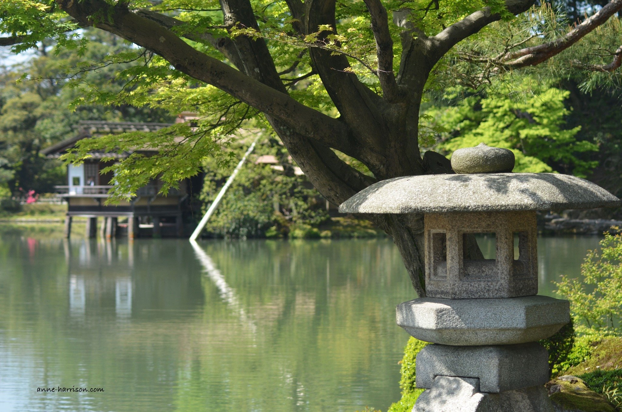 A magic corner in the Kenroku-en Gardens in Kanazawa, Japan. A garden typical of the Edo period, they're listed as one of the top three gardens in Japan. Try and visit for the spring cherry blossom, or when the autumn colours are in full bloom #justt