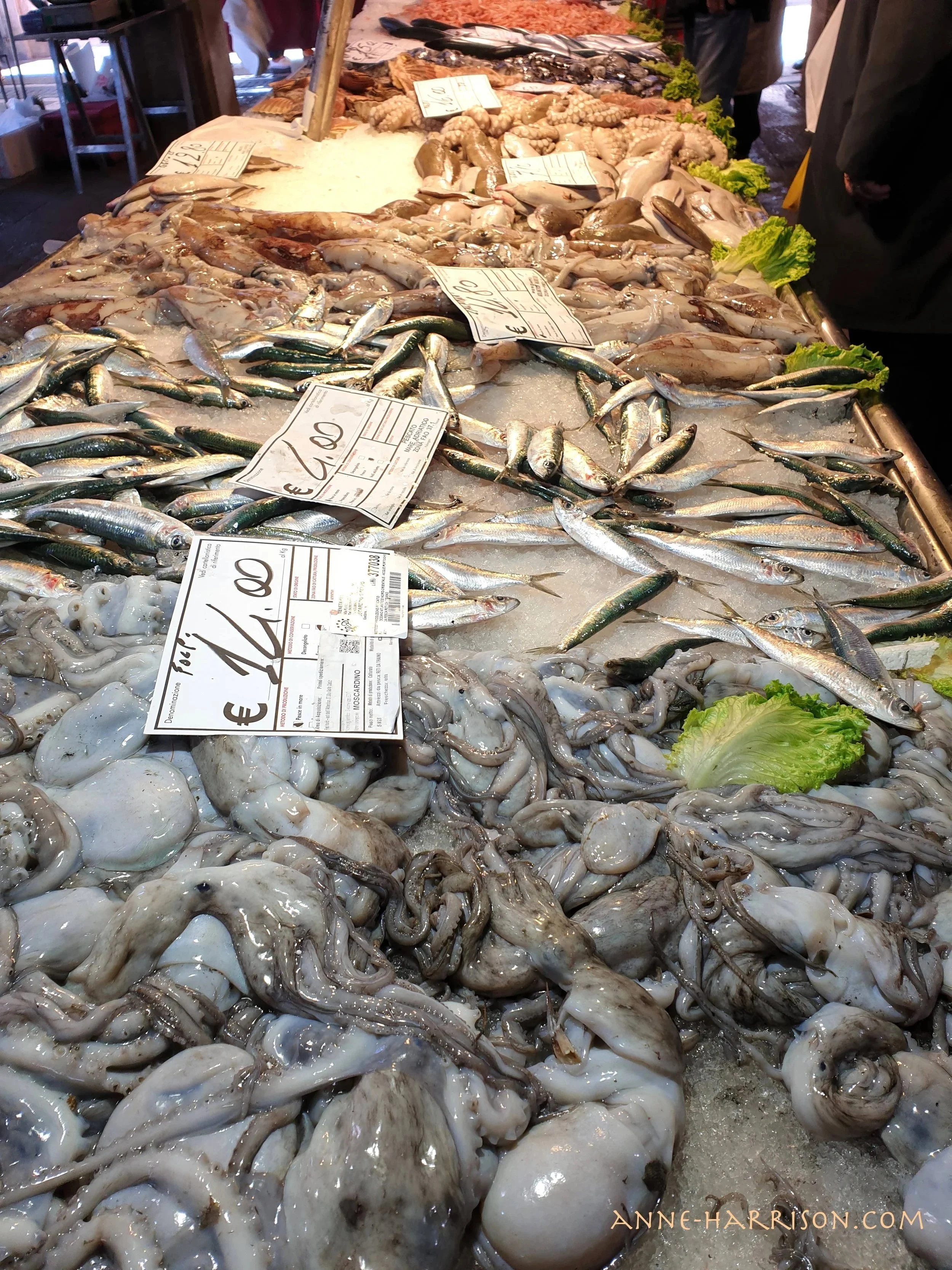  A sea of silver: octopus and small silver fish for sale 