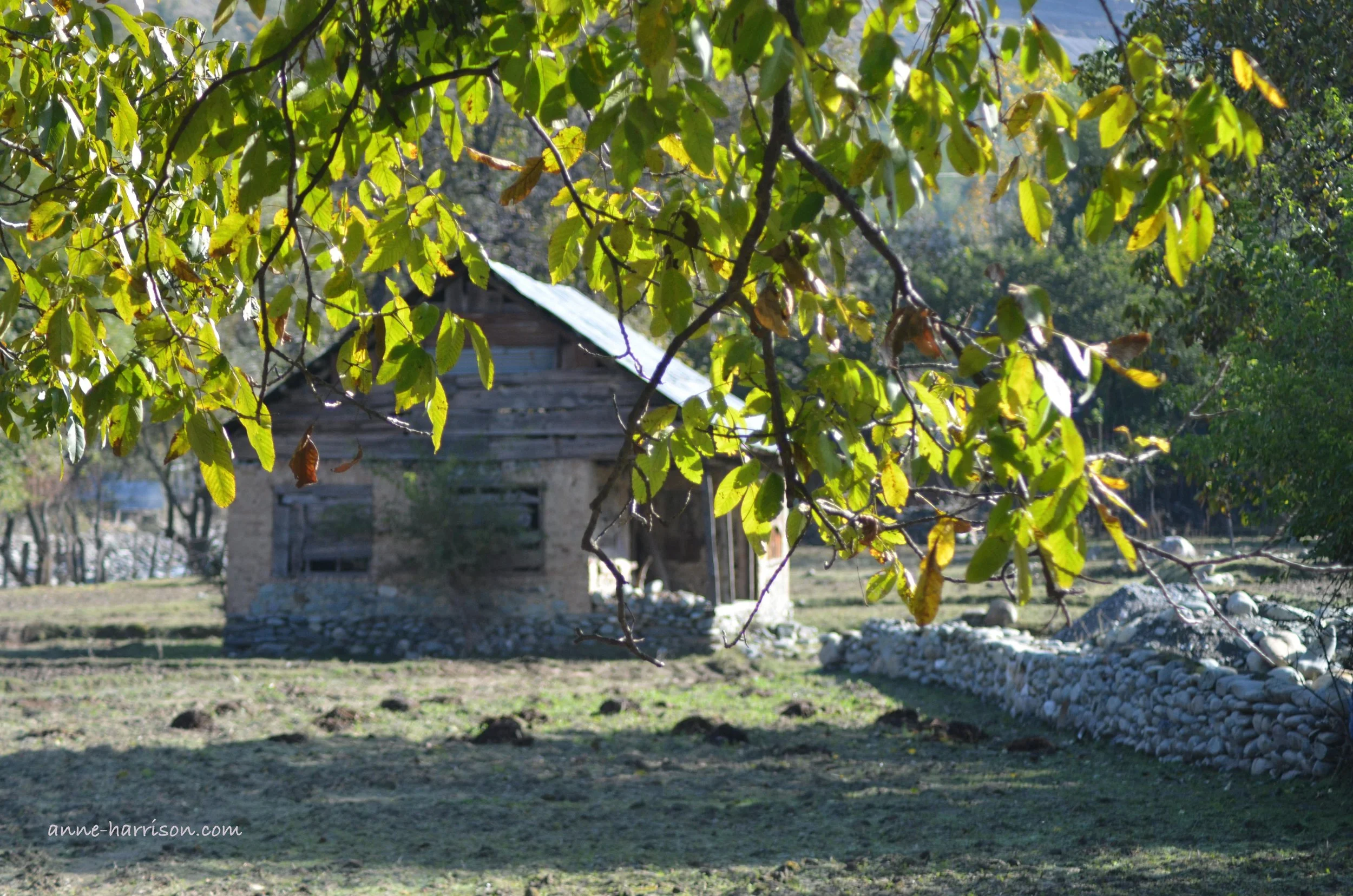 A stone and wooden hut framed by tree branches