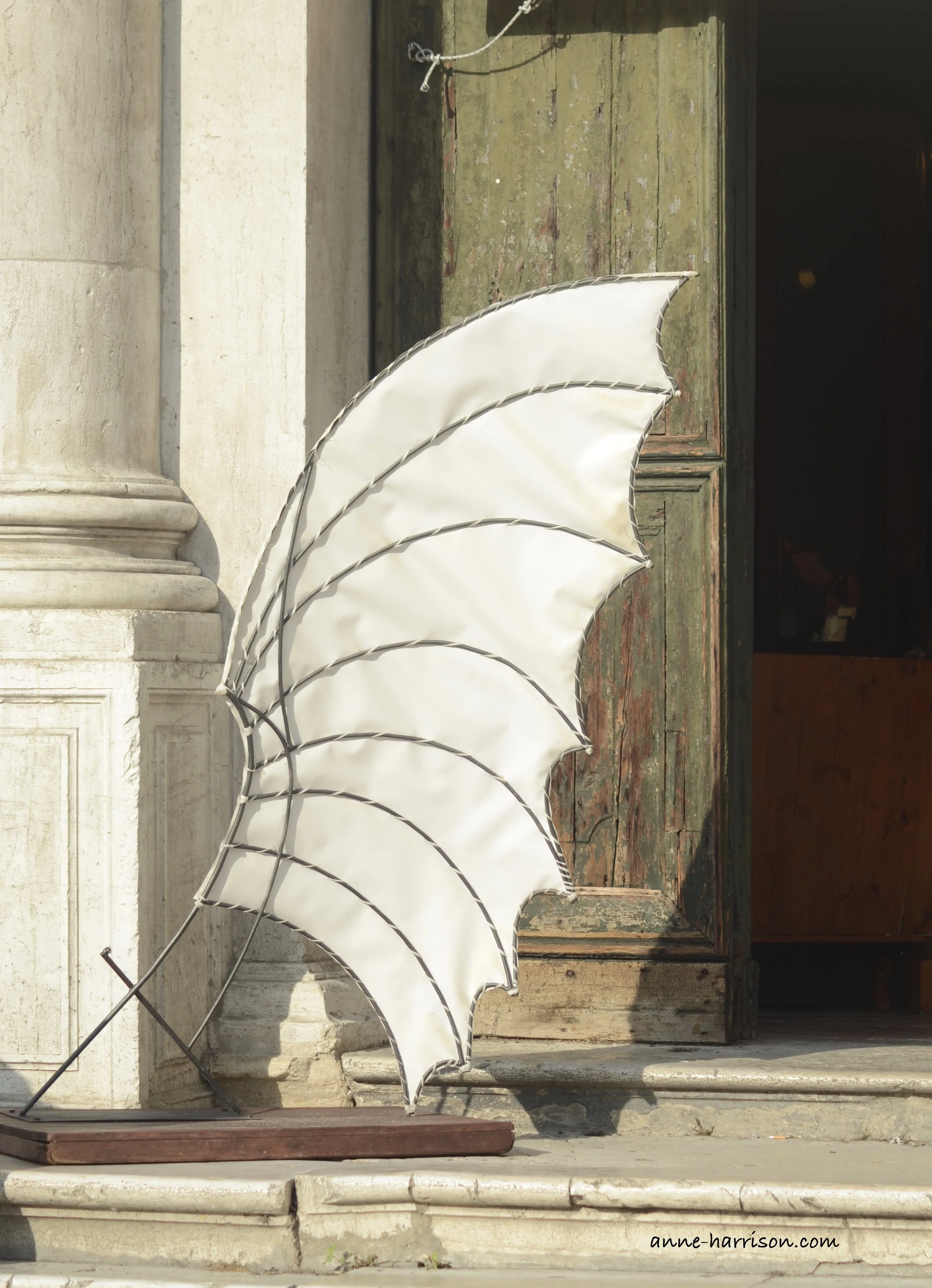 Leonardo's wing (c) A. Harrison