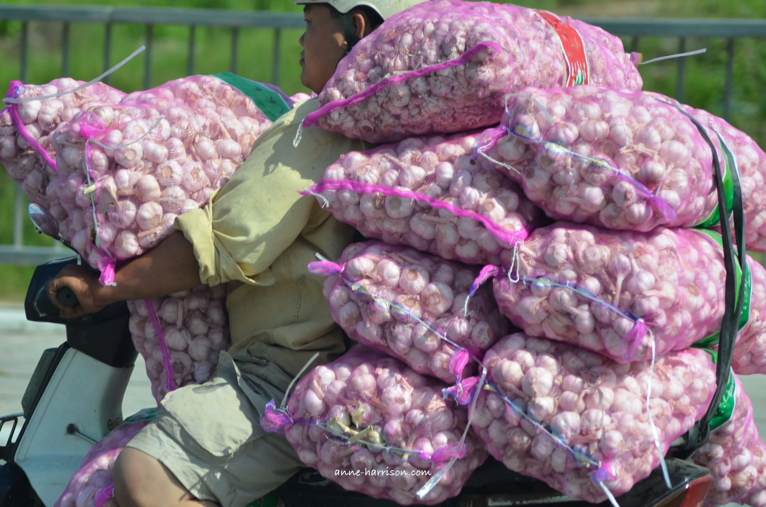 A man on a motor bike in Vietnam, surrounded by bags of garlic cloves.