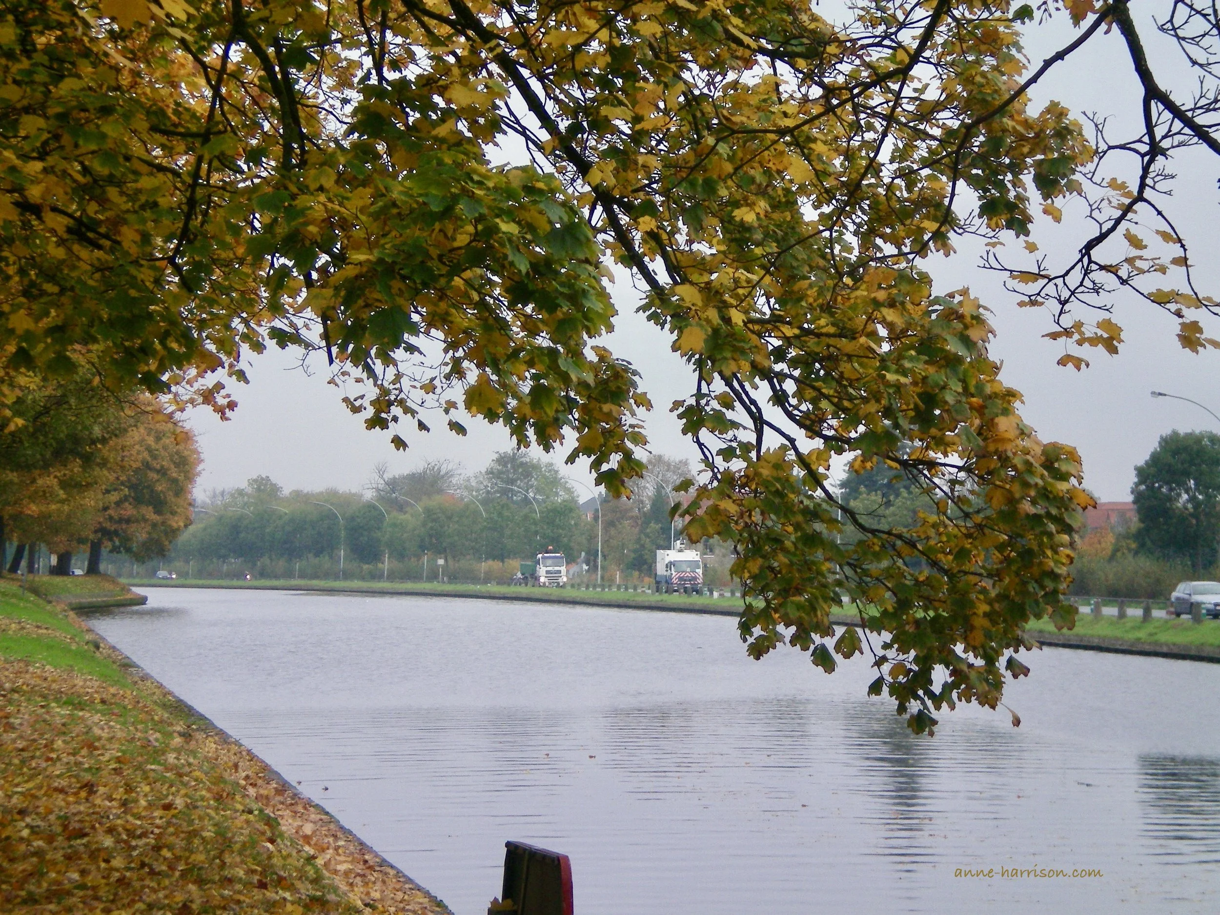 A tree covered with yellow autumn leaves hangs over a canal