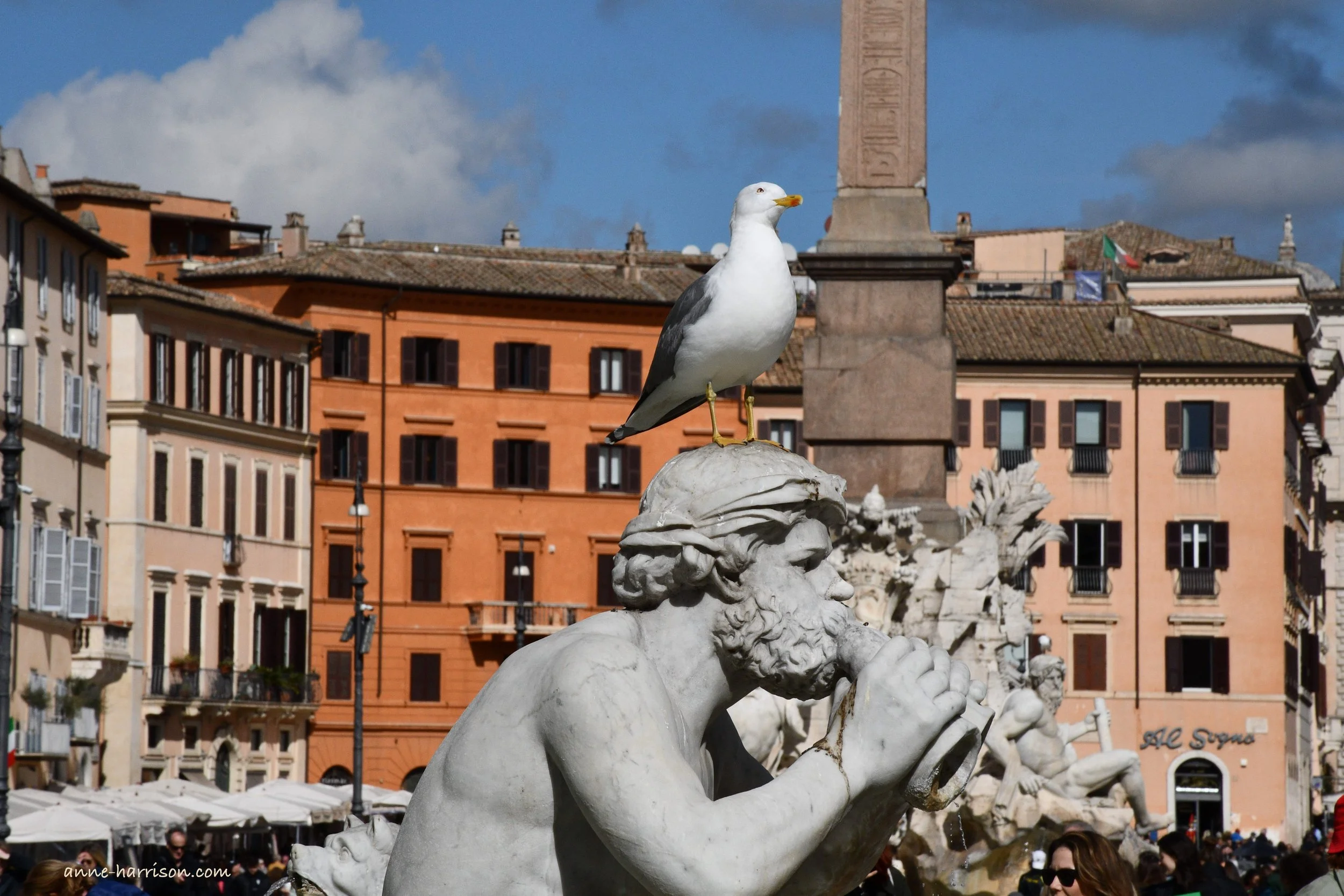 Not in Rome: Diary of A Witch Doctor 