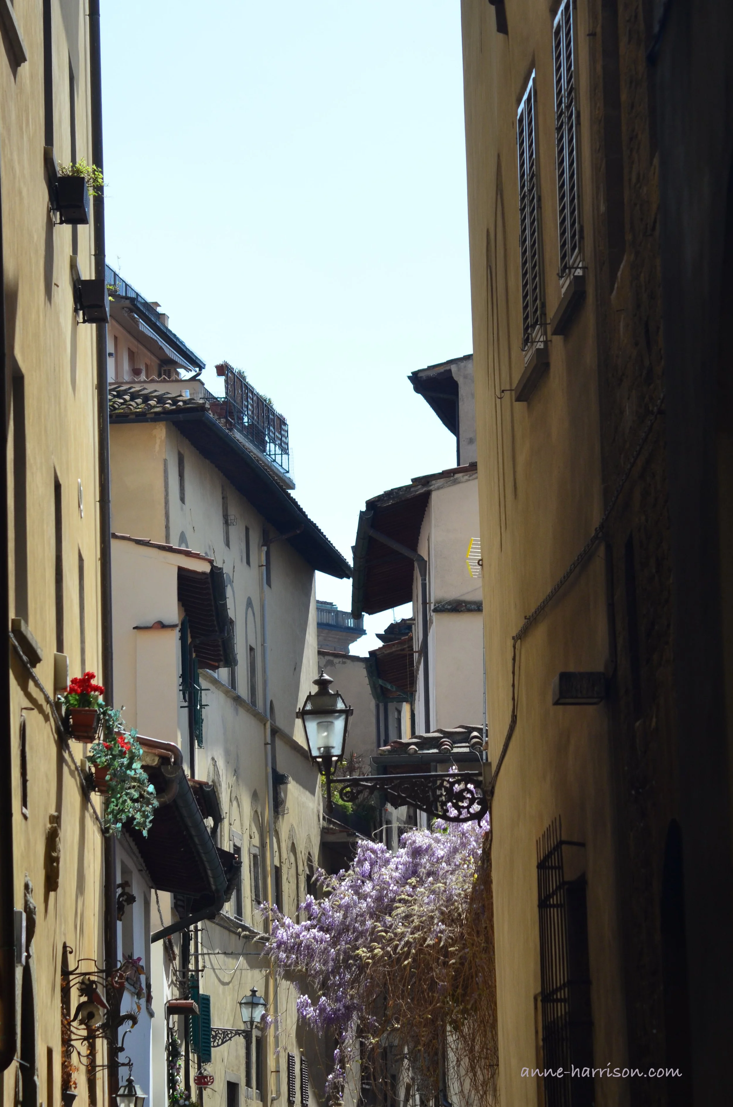 Images along the walk to Dante's House