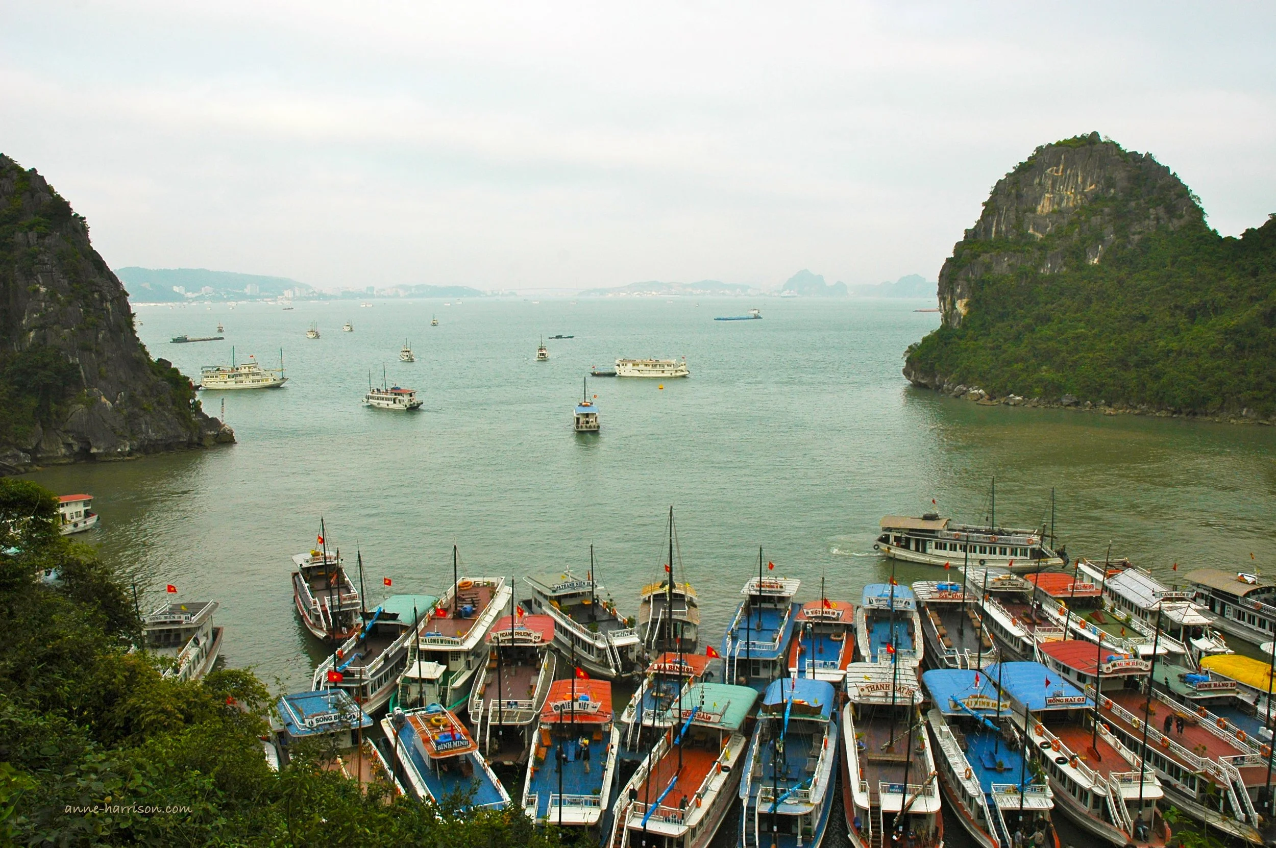 Dozens of colourful tourist boats moored together in Halong Bay