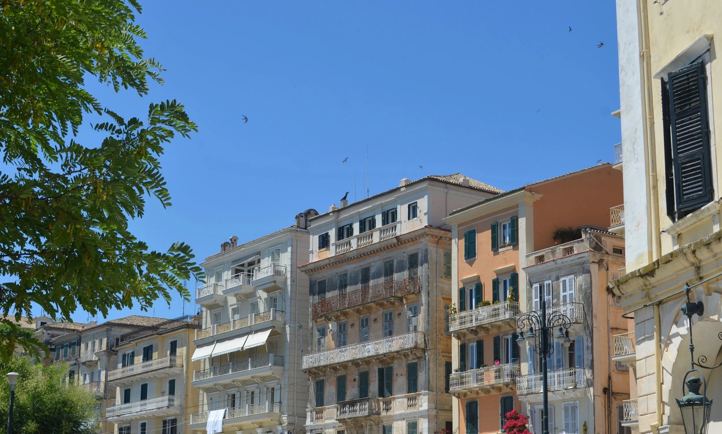 Colourful buildings lining the Liston, Corfu. The sky is blue and filled with birds.