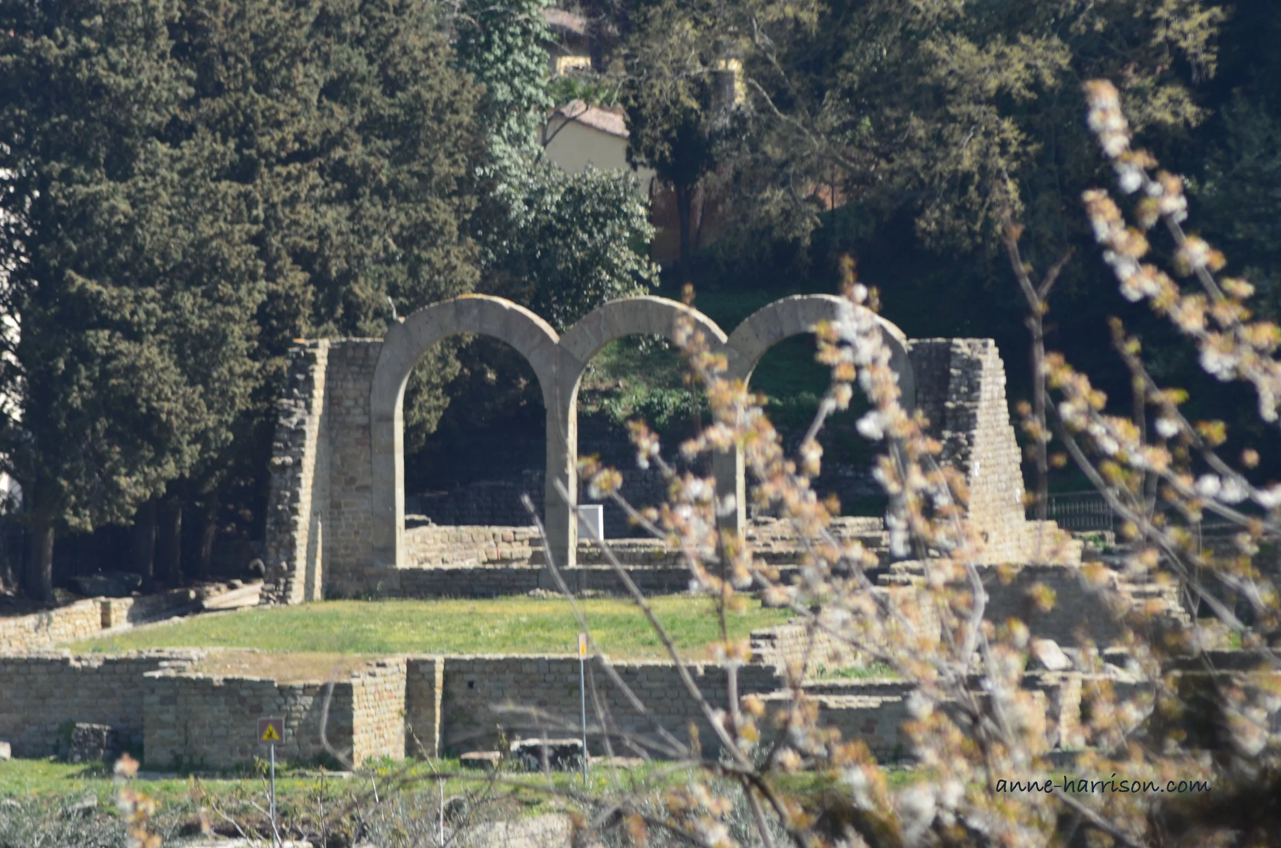 Finding Leonardo in Fiesole