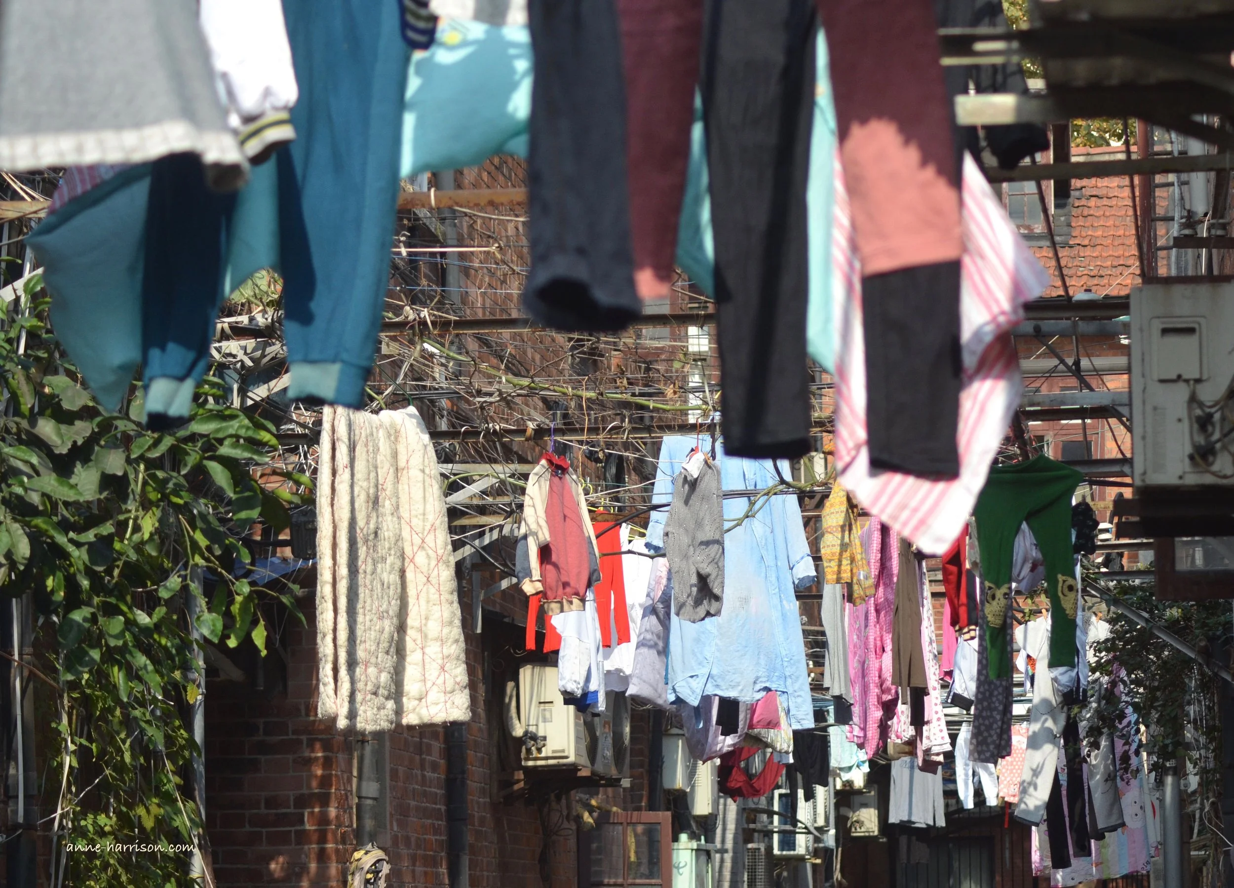Washing day © A. Harrison