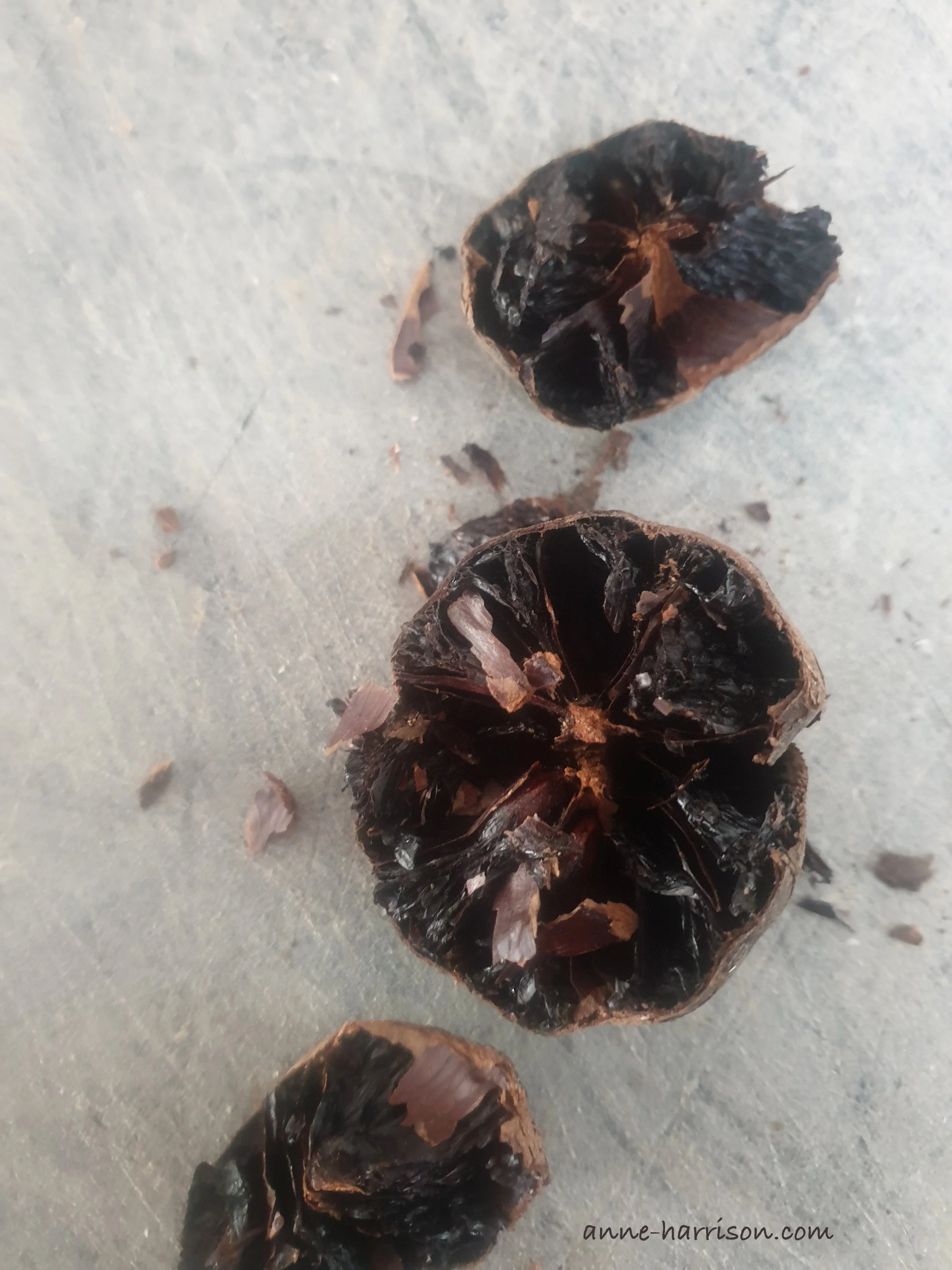 a black lime has been cut on half, showing the darkened dehydrated flesh