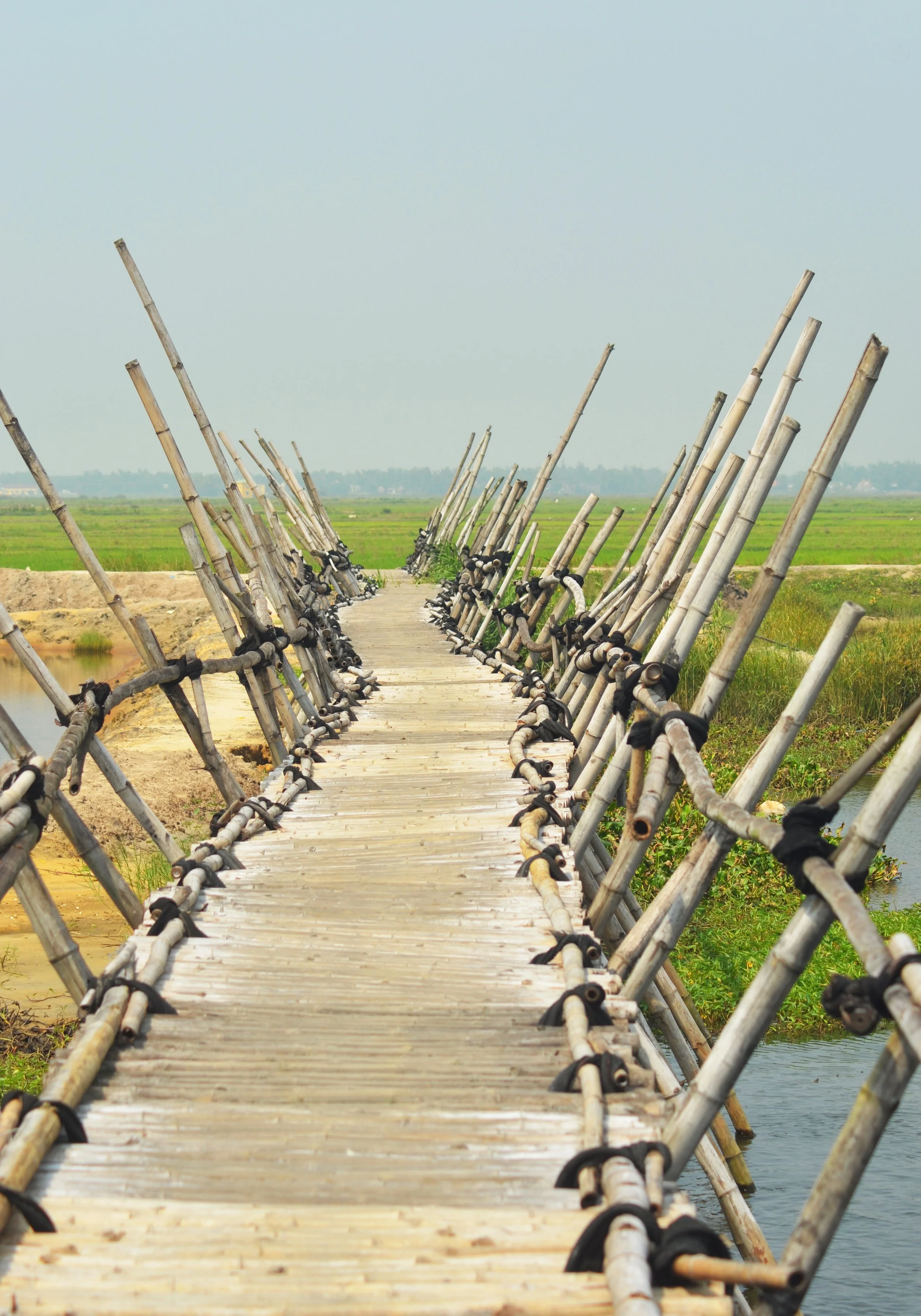 A bamboo bridge crossing a river, surrounded by rice paddies.