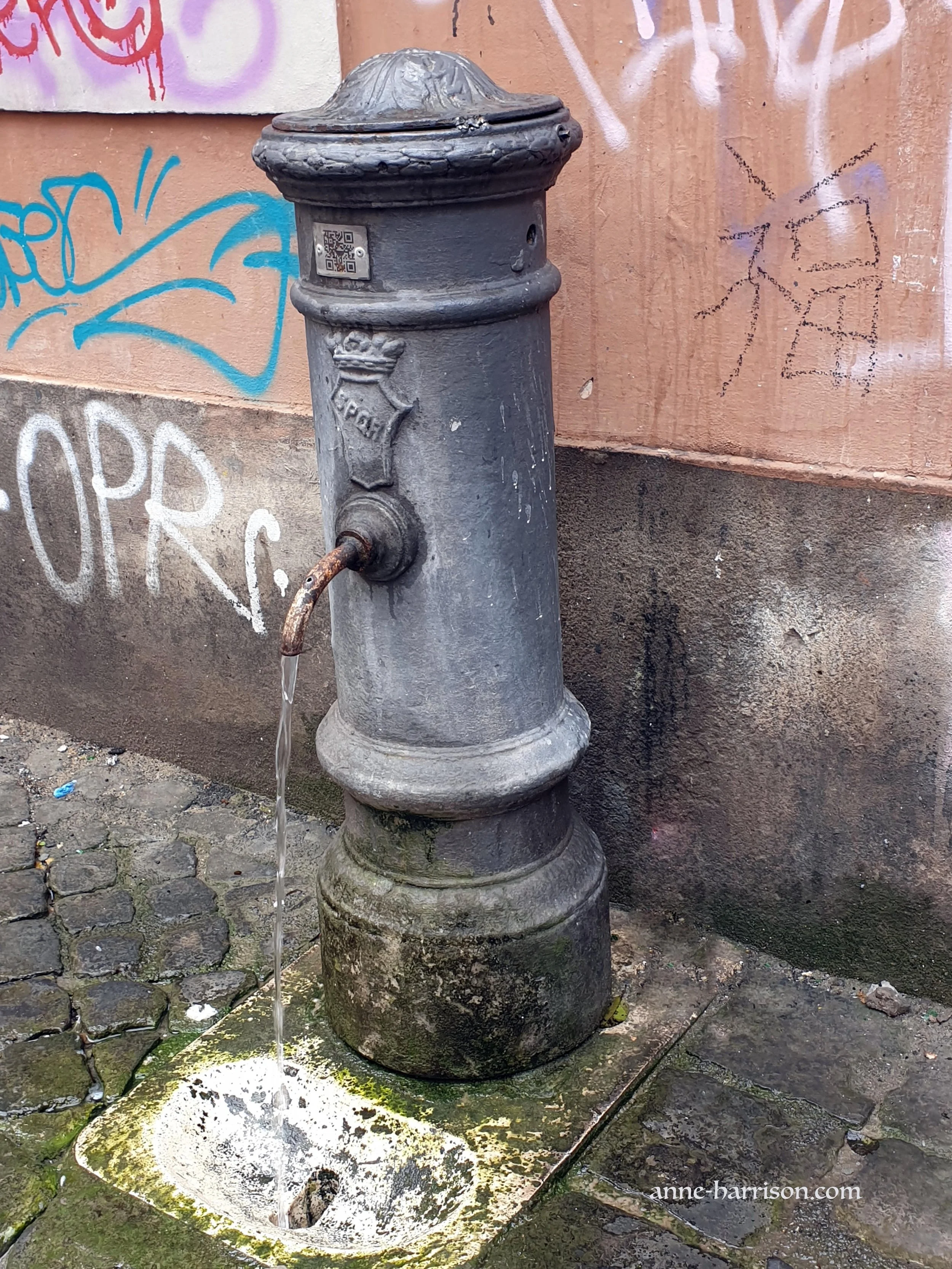 A nasoni - the upper hole is visible © A. Harrison