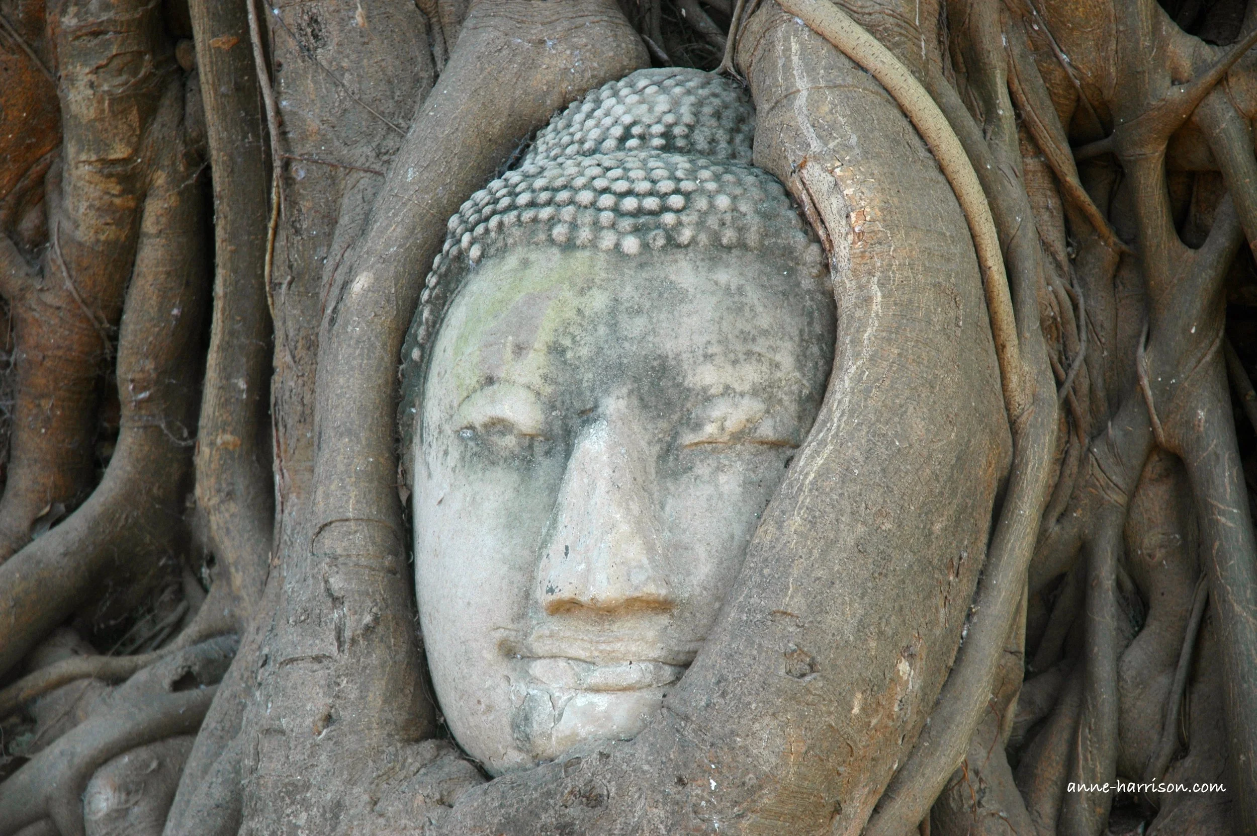 Ayutthaya, Capital of Siam