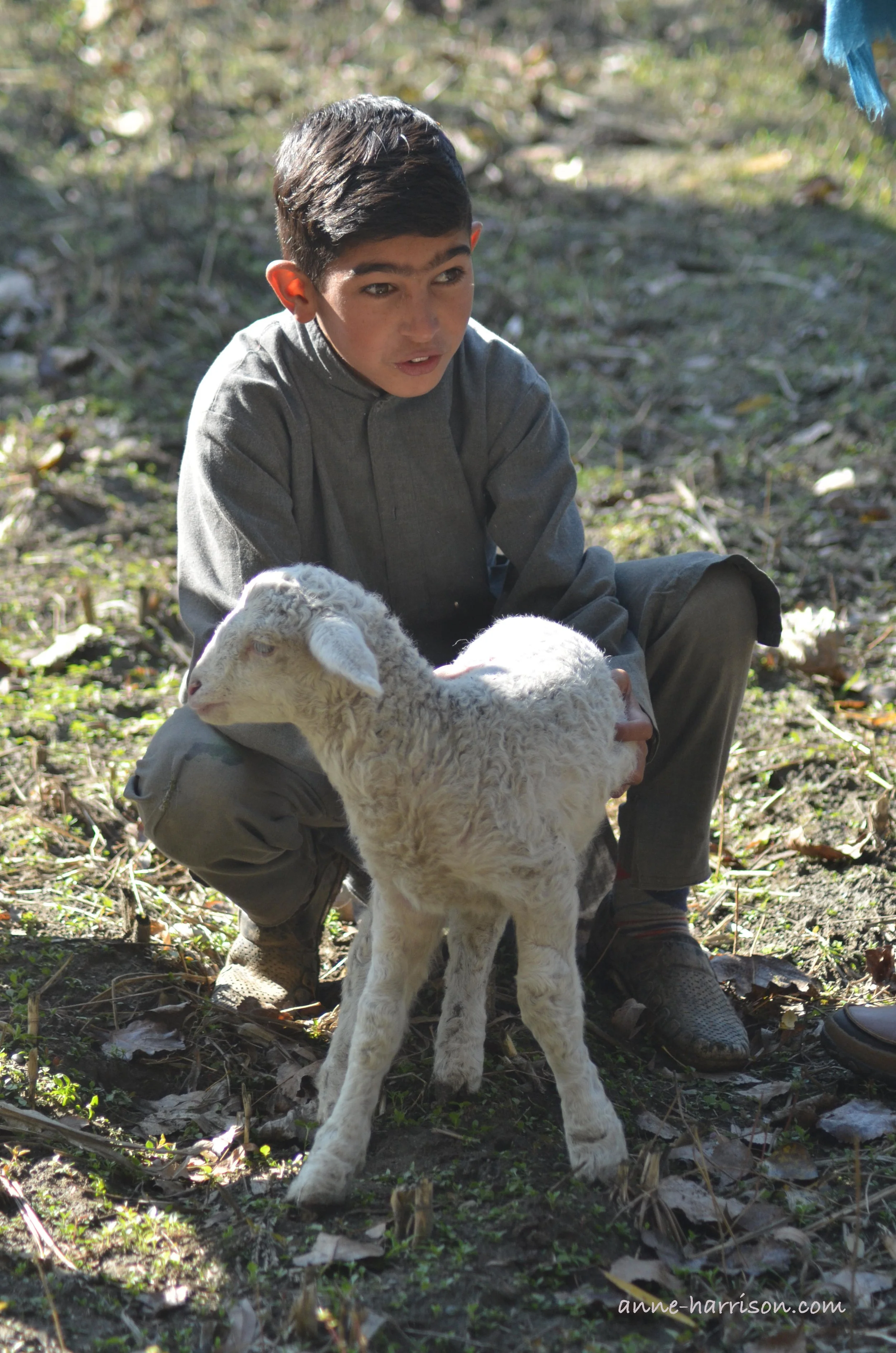 A young shepherd boy in Kashmir with a white lamb