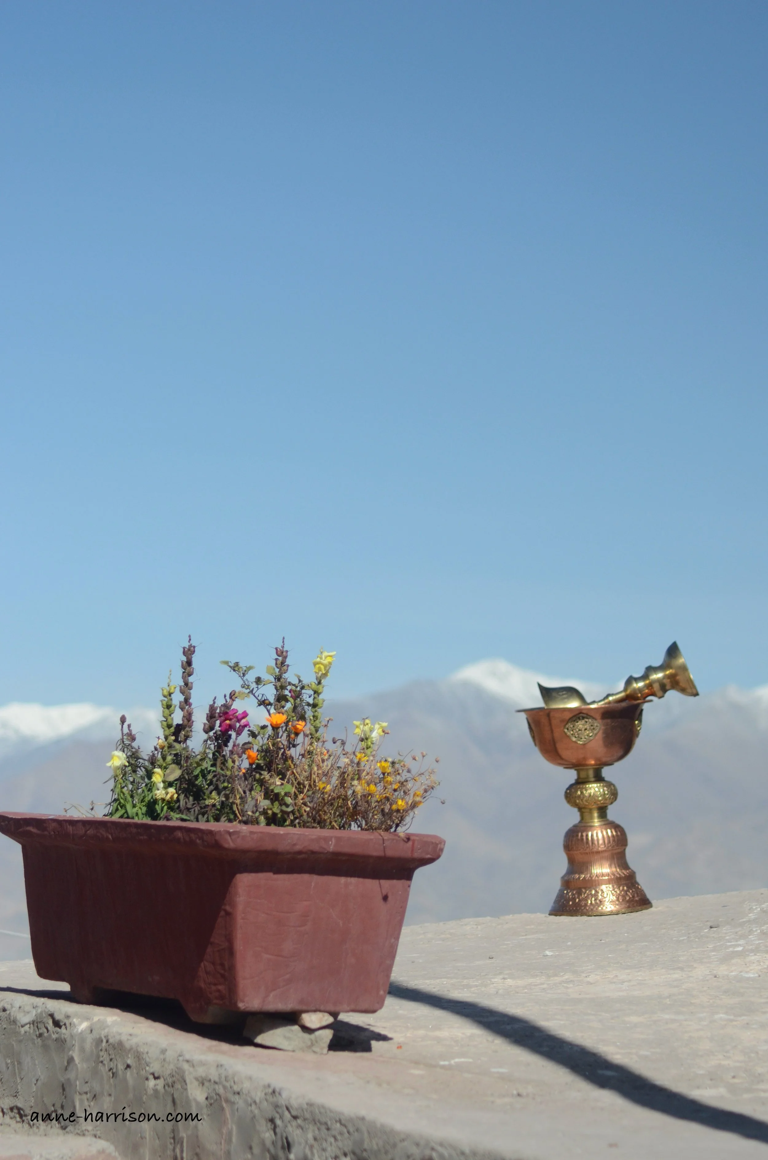 A bronze bowl and cup, a planter of flwoers, with snow covered mountains in the distance