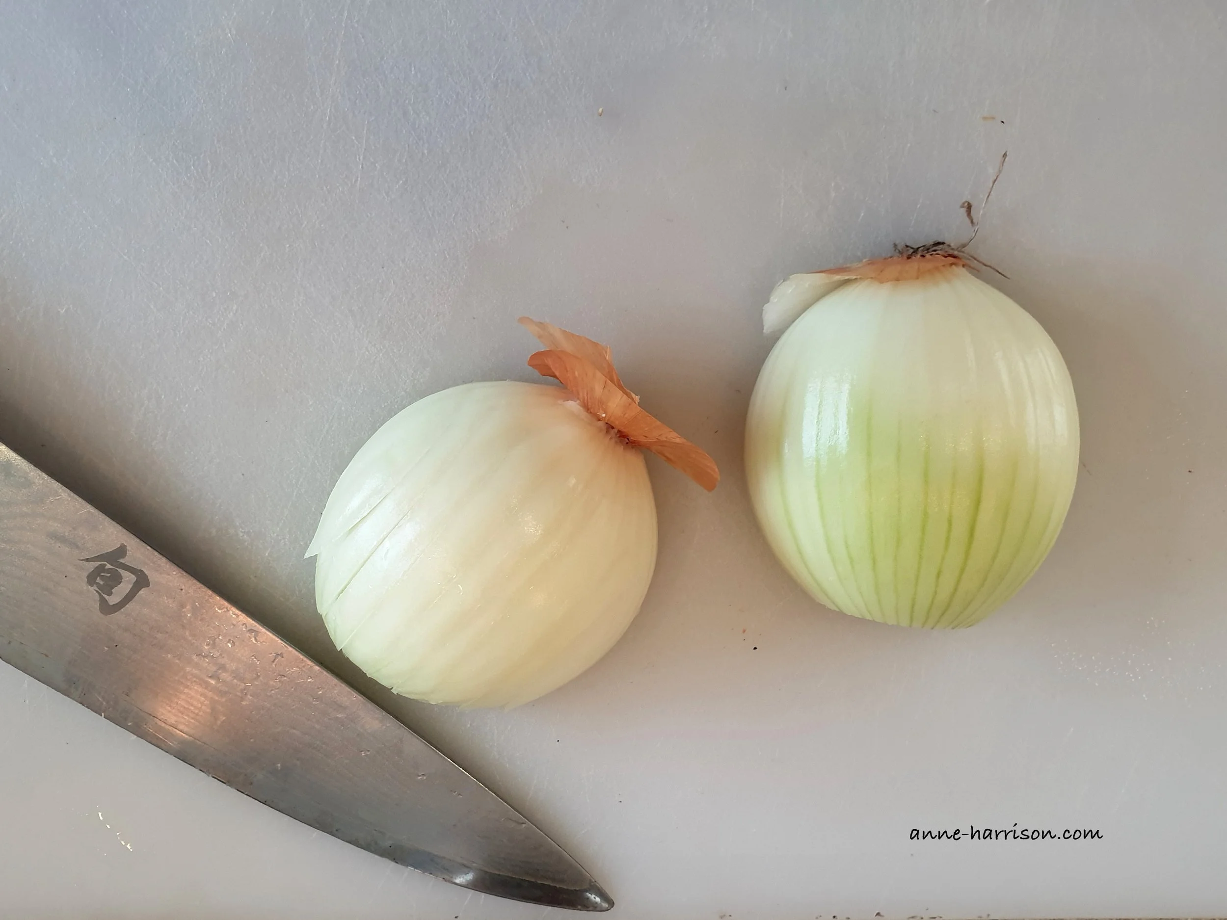 A peeled white onion chopped in half, with the roots still attached. A knife with Japanese writing is next to them.