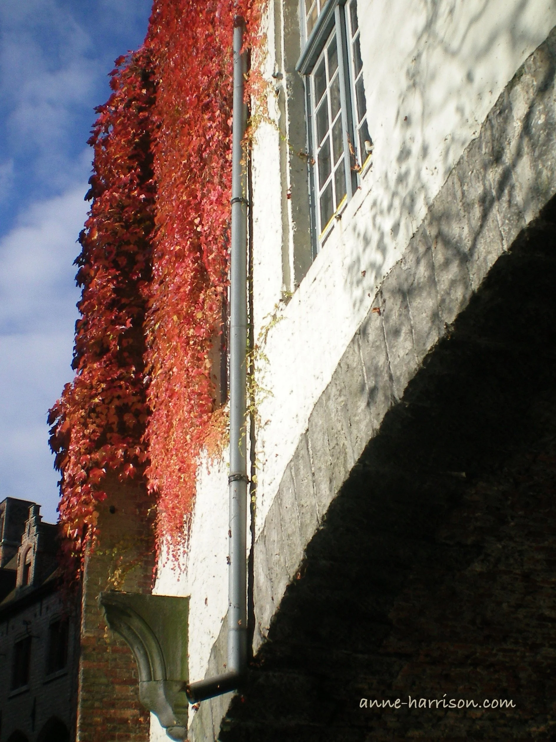 The colours of autumn (c) A. Harrison