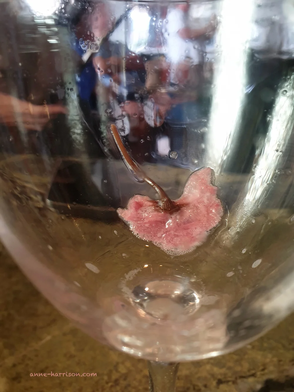 Remains of a Singapore Sling