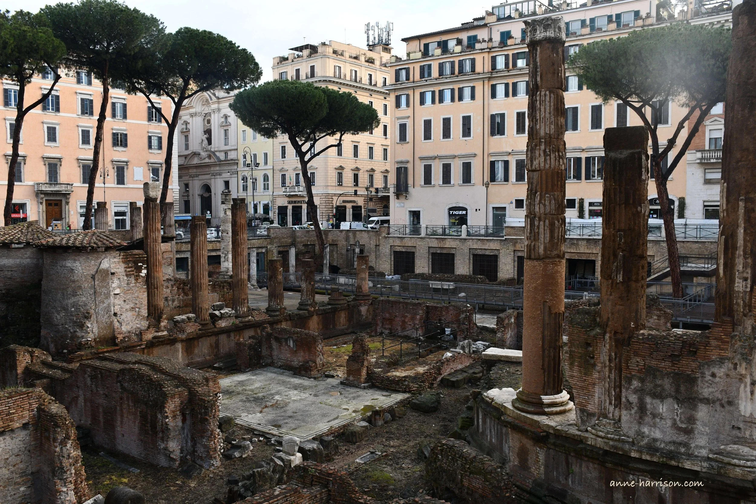 Ruins in a street in Rome