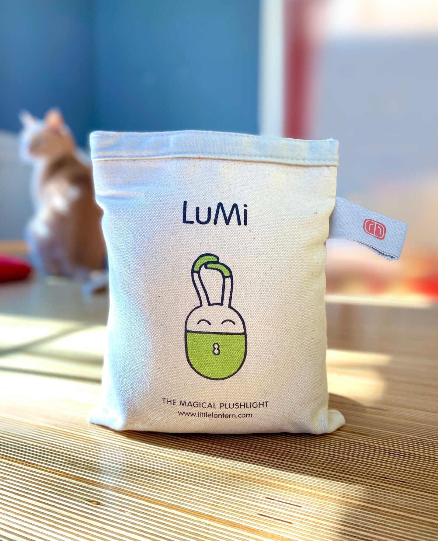 What's in the LuMi gift set bag?? 🎁⁠
⁠
Swipe left to see the sweetest picture book, chronicling LuMi's arrival at our house many years ago.⁠
⁠
It doesn't have text, which is perfect for adjusting the story with your child's age, for what mood they a